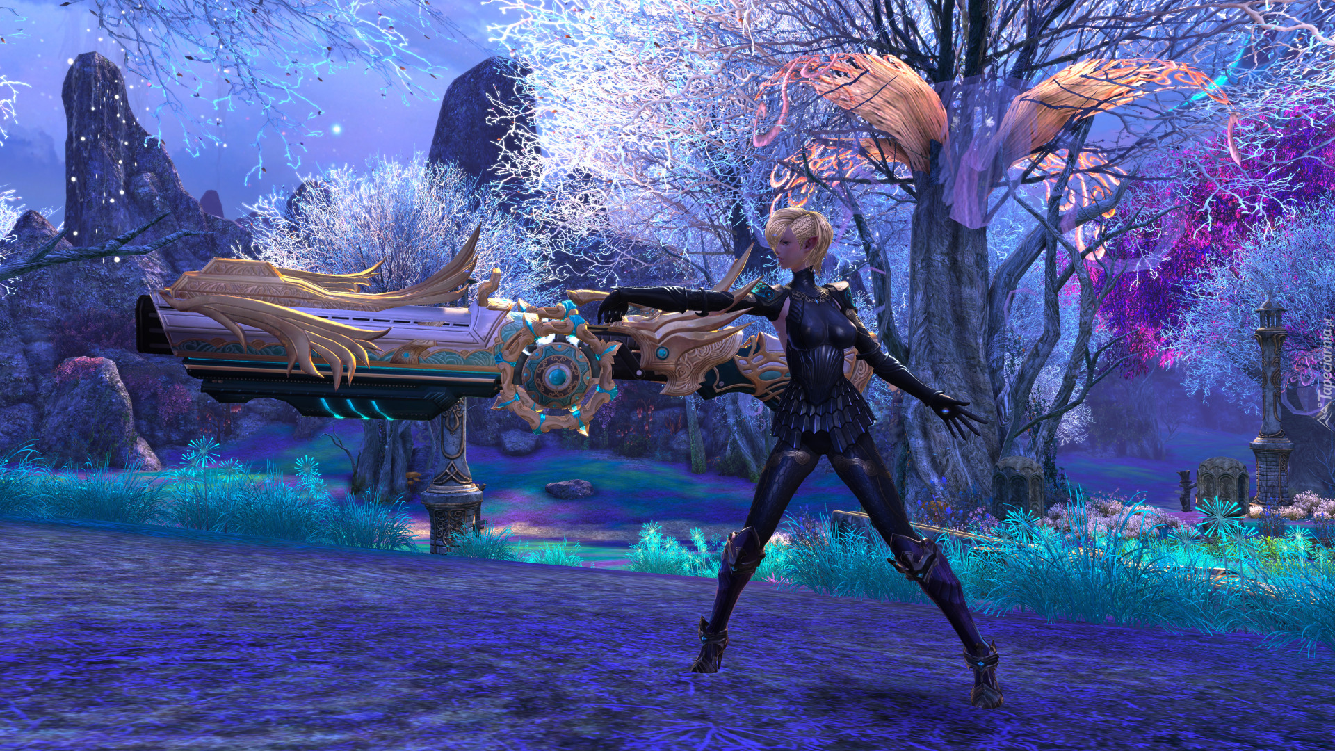 Gra, The Exiled Realm of Arborea, TERA, Postać, Klasa, Gunner