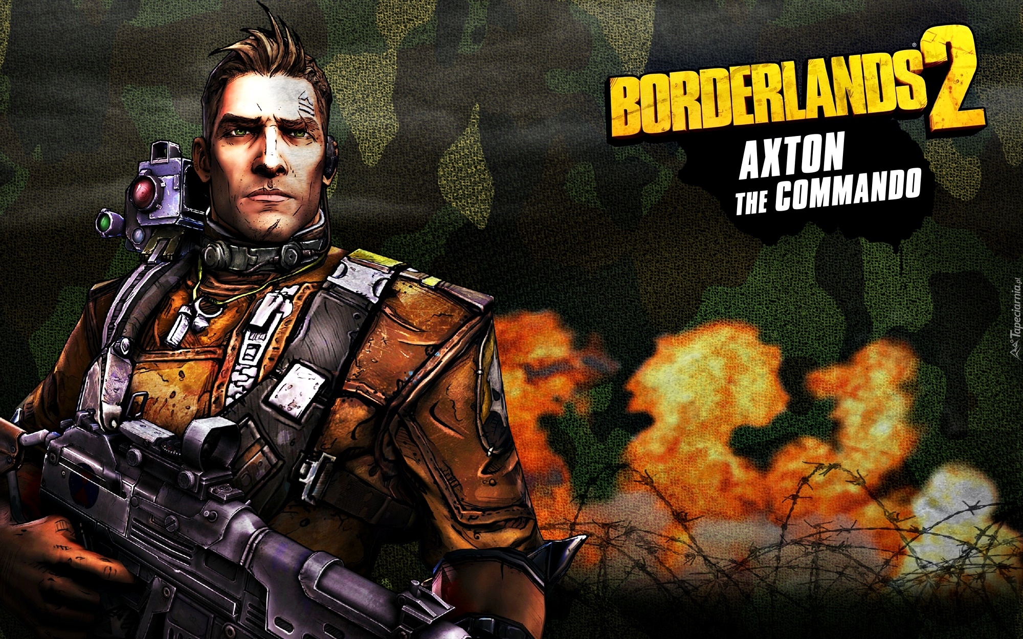 Gra, Borderlands 2, Postać, Broń