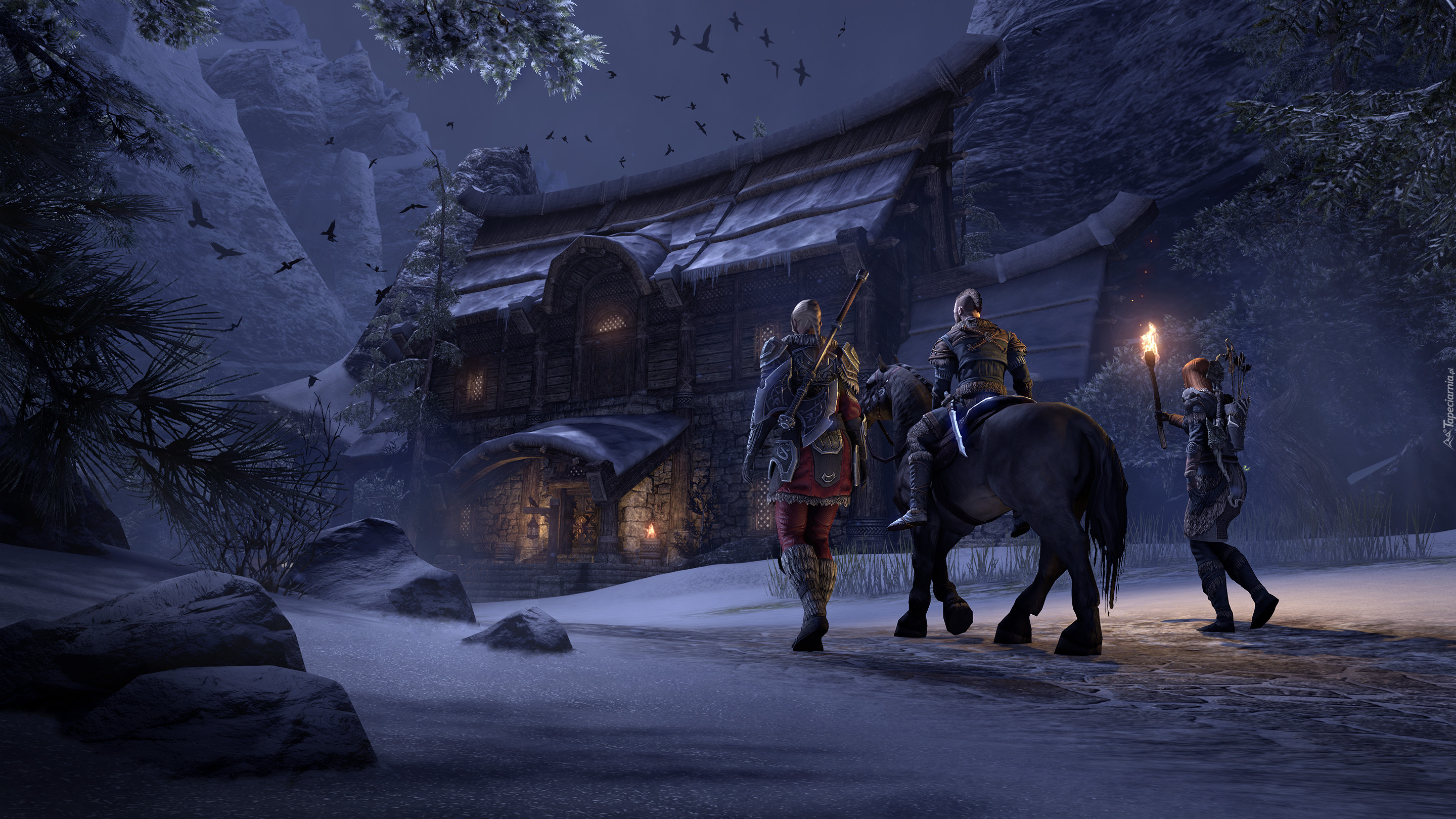 Gra, The Elder Scrolls Online Greymoor, Wojownicy, Dom, Góry, Noc