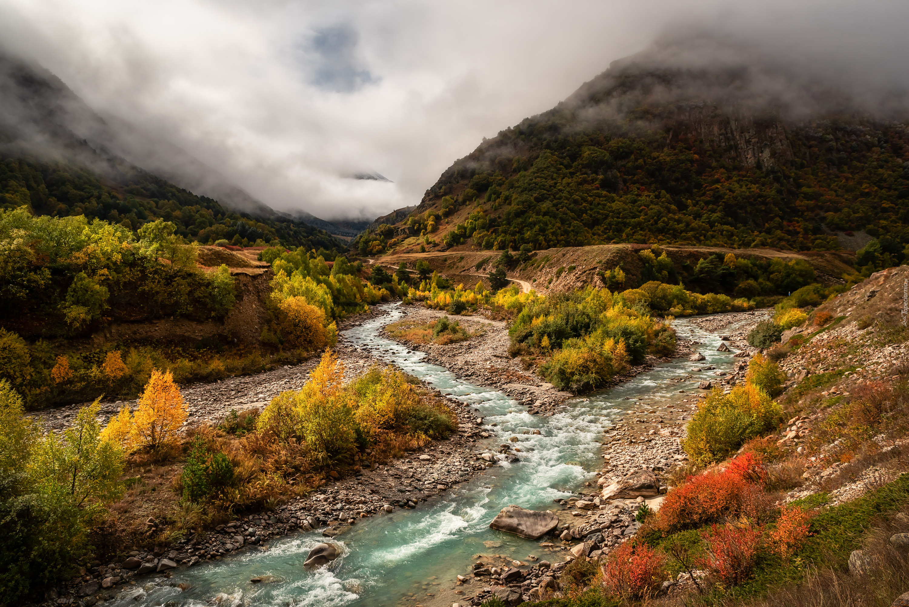 Potok, Rzeka, Góry, Mgła, Jesień