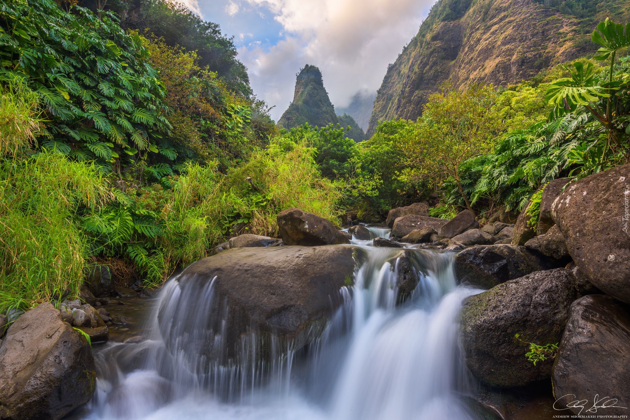 Hawaje, Wyspa Maui, Potok Iao Valley, Skały, Roślinność