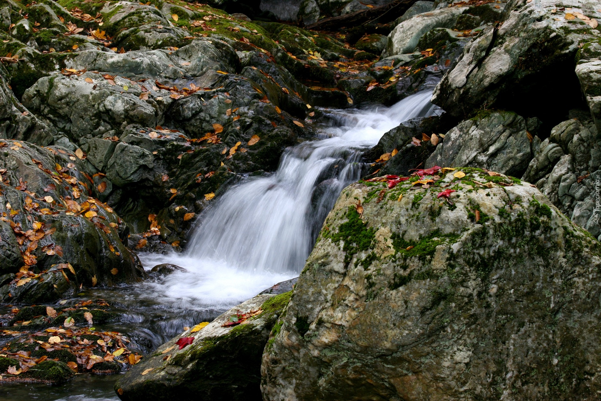 Przyroda, Natura, Las, Wodospad, Potok, Strumień, Kamienie, Liście, Jesienne