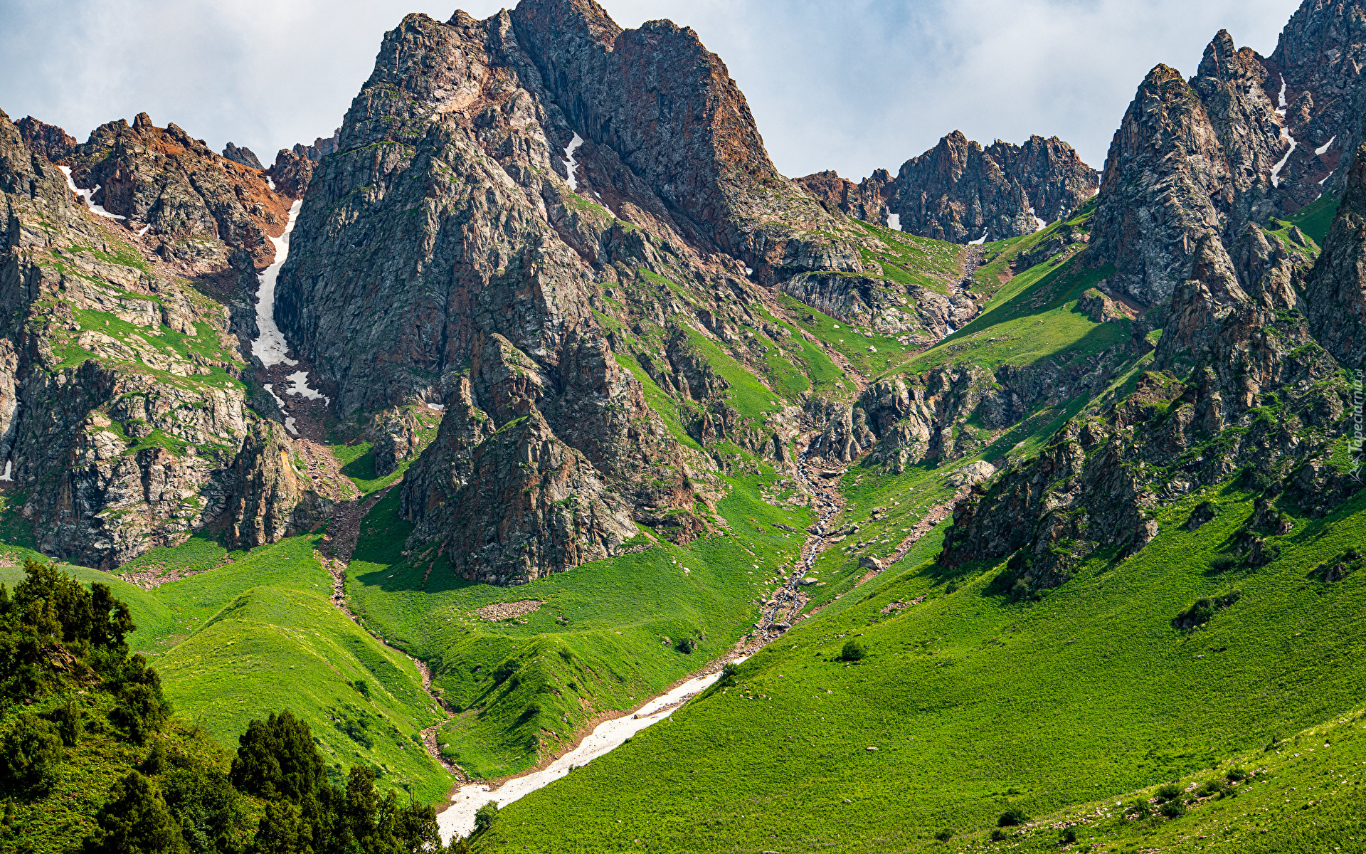 Góry, Skały, Drzewa, Trawa, Rzeka Tałas, Dolina, Kirgistan