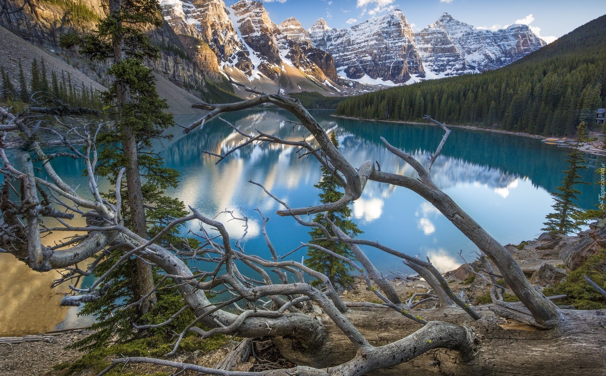 Kanada, Prowincja Alberta, Park Narodowy Banff, Jezioro Moraine, Góry, Jezioro, Powalone, Drzewa