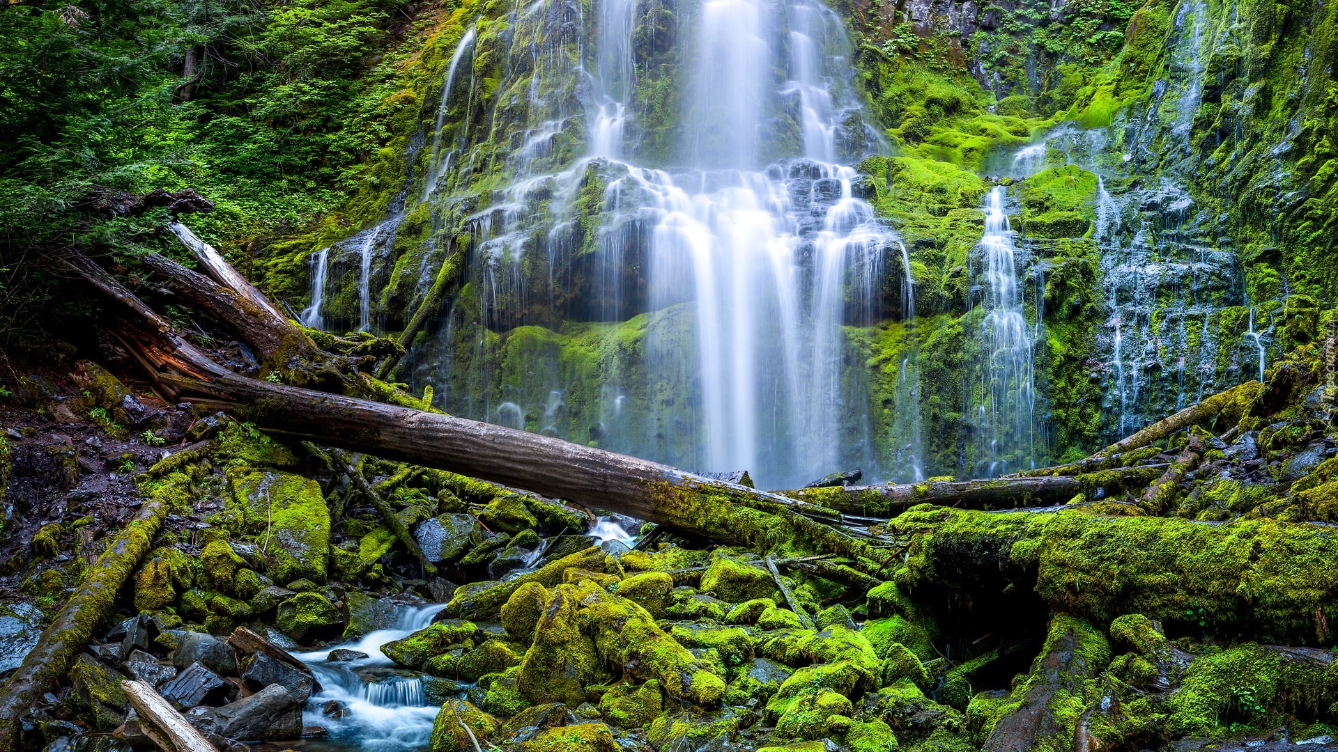 Stany Zjednoczone, Stan Oregon, Wodospad, Proxy Falls, Omszałe, Kamienie, Konary