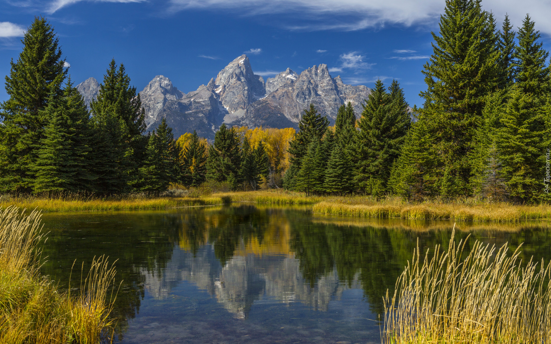 Park Narodowy Grand Teton, Góry Skaliste, Drzewa, Trawa, Rzeka, Snake River, Odbicie, Stan Wyoming, Stany Zjednoczone