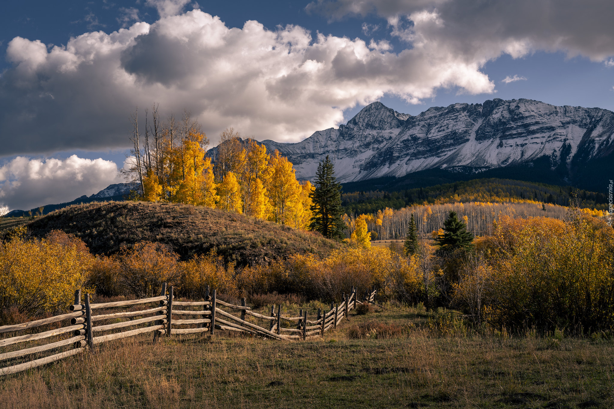 Jesień, Pożółkłe, Drzewa, Ogrodzenie, Góry, San Juan Mountains, Chmury, Kolorado, Stany Zjednoczone