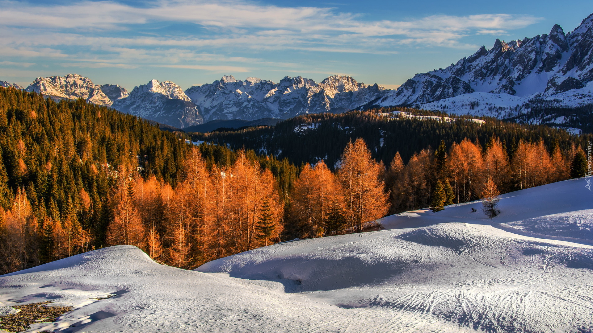 Góry, Zima, Pożółkłe, Drzewa, Gmina Sexten, Tyrol Południowy, Włochy