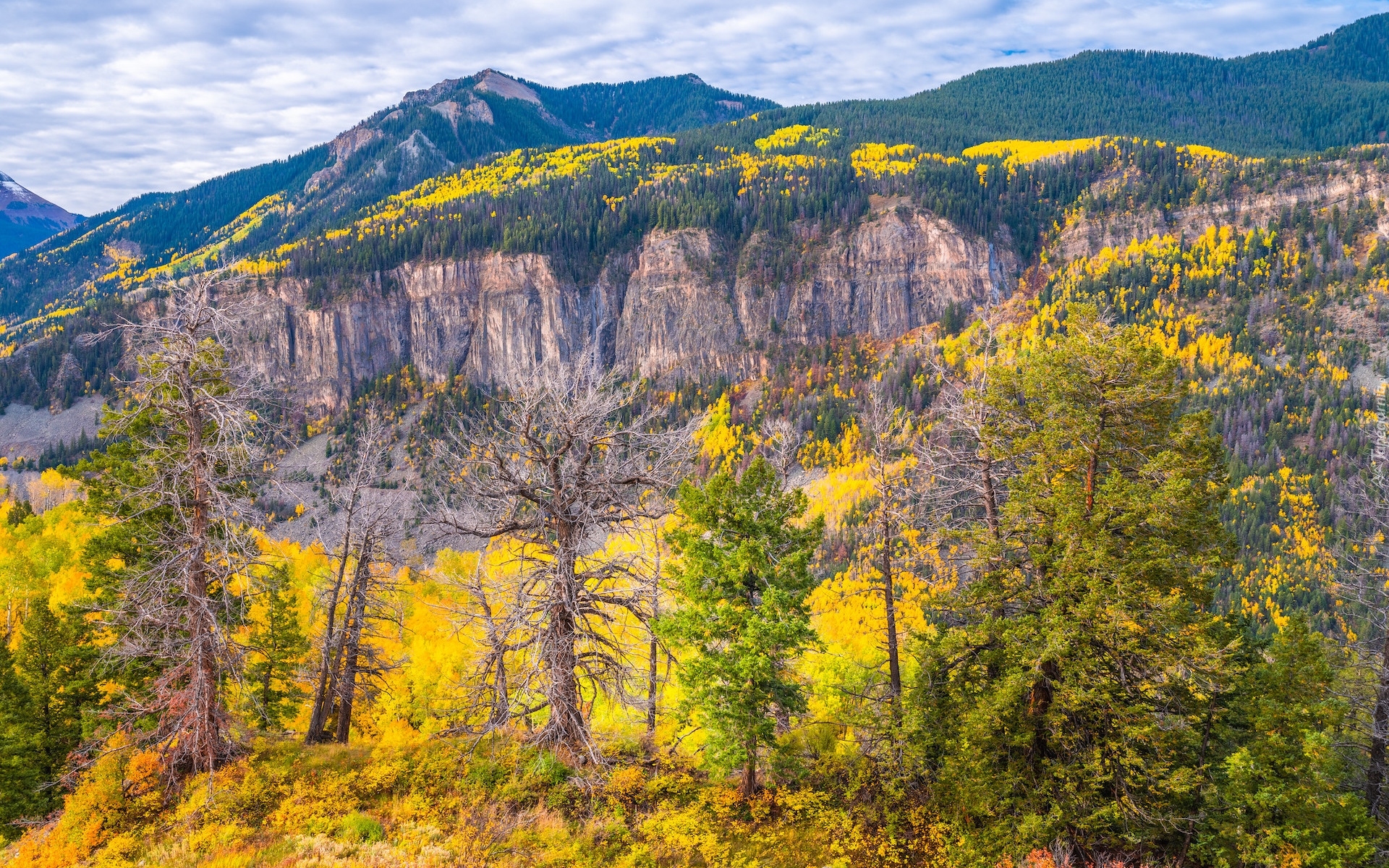 Jesień, Drzewa, Las, Góry, San Juan Mountains, Telluride, Kolorado, Stany Zjednoczone