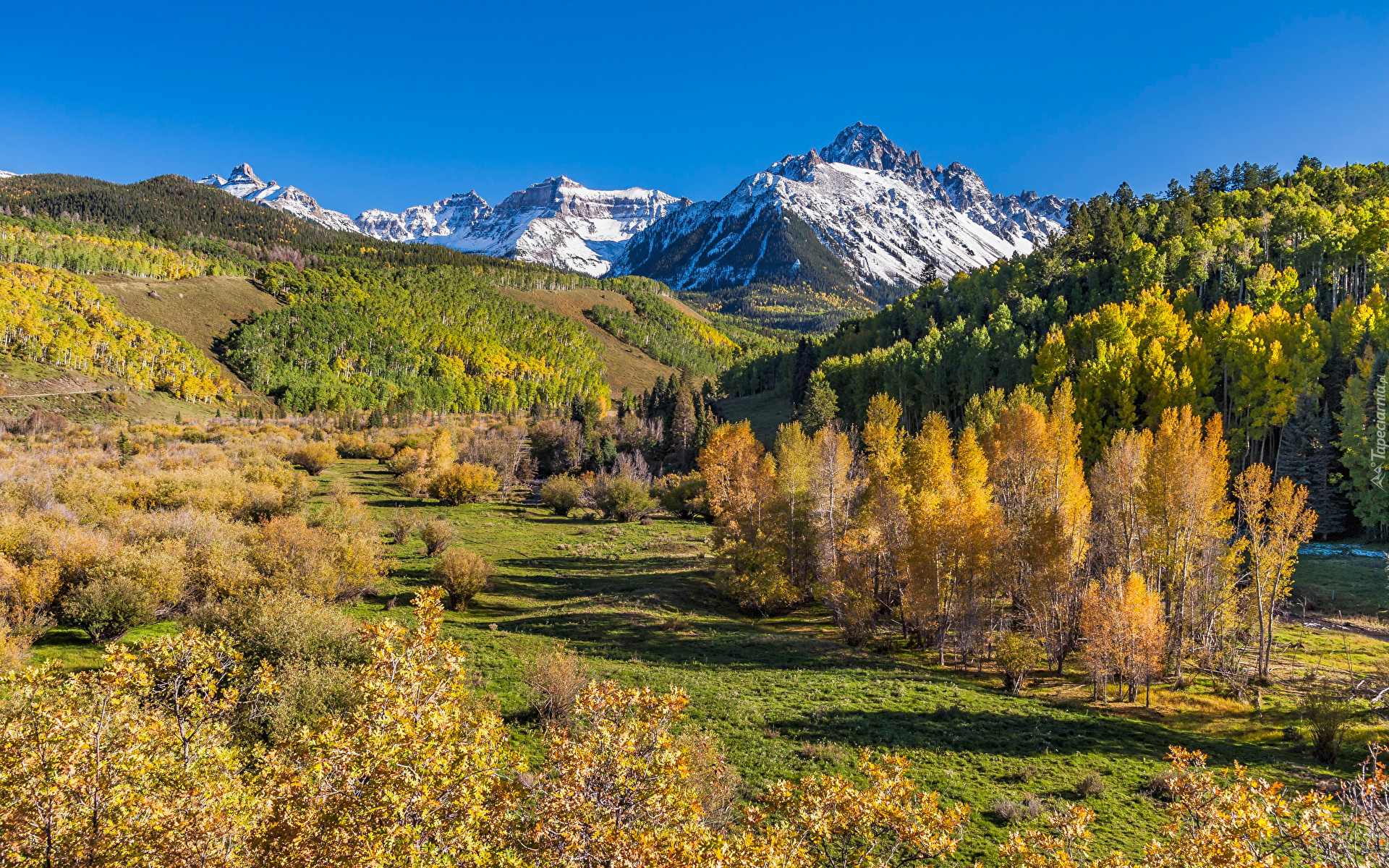 Góry, San Juan Mountains, Góra Mount Sneffels, Lasy, Drzewa, Jesień, Polana, Kolorado, Stany Zjednoczone