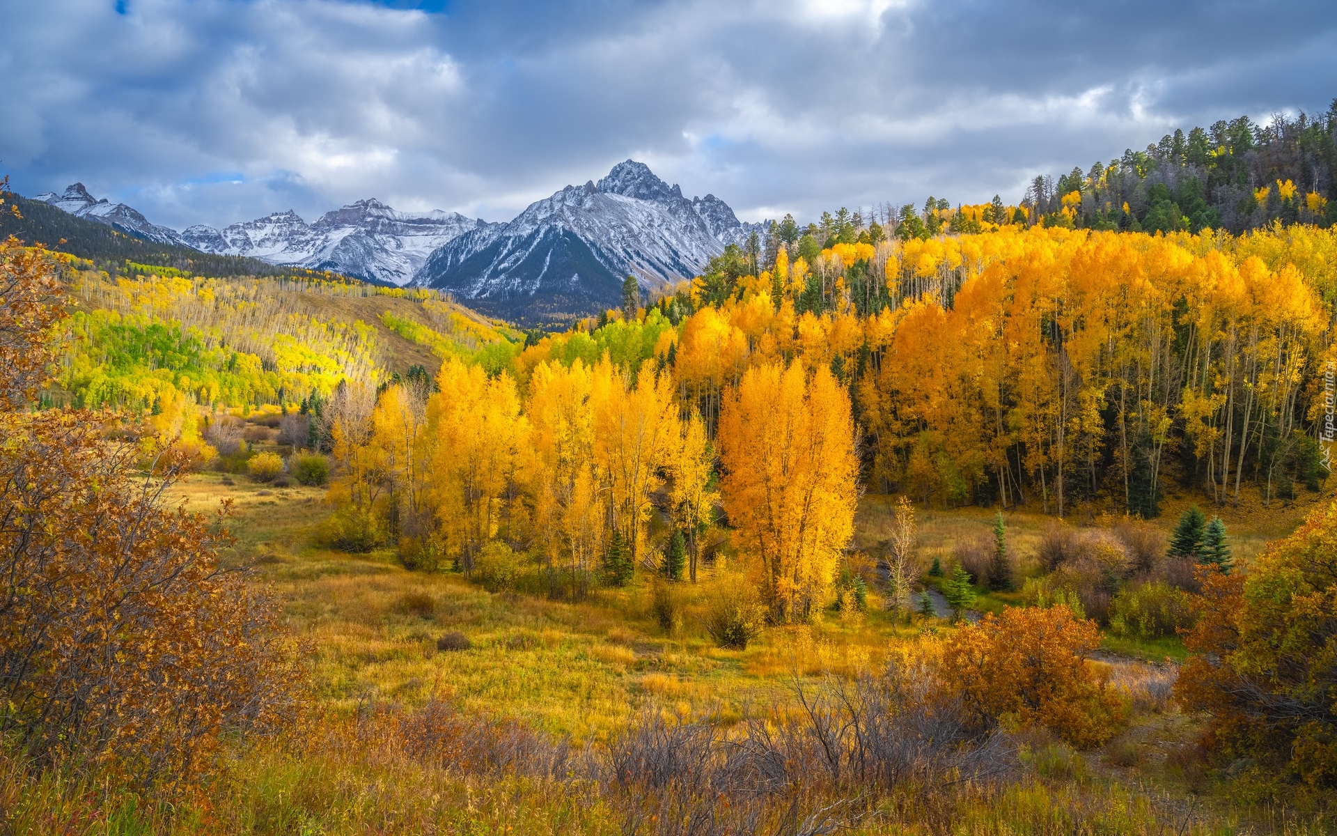 Góry, Góra, Mount Sneffels, Las, Drzewa, Jesień, Kolorado, Stany Zjednoczone