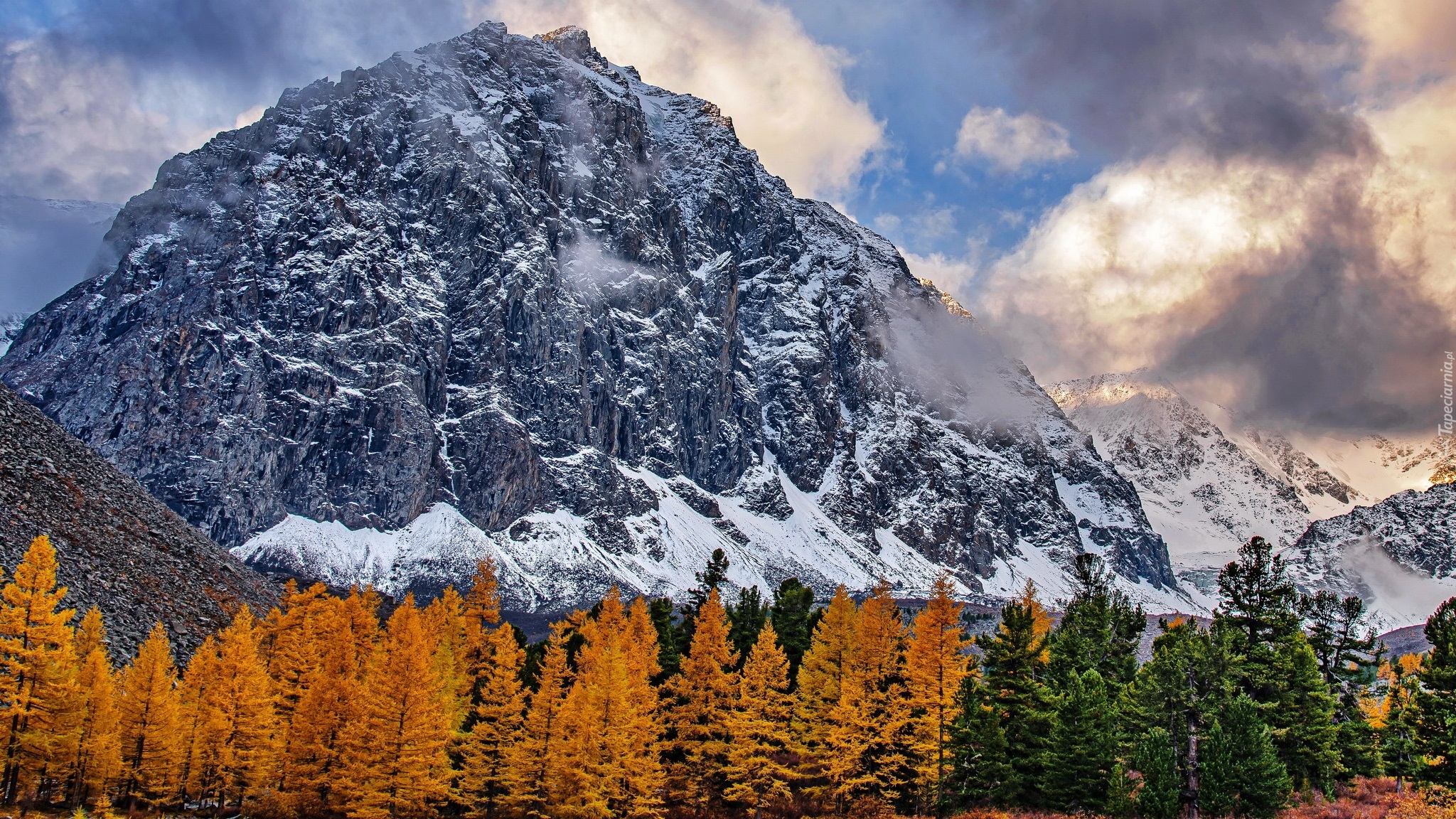 Jesień, Góry, Drzewa, Śnieg