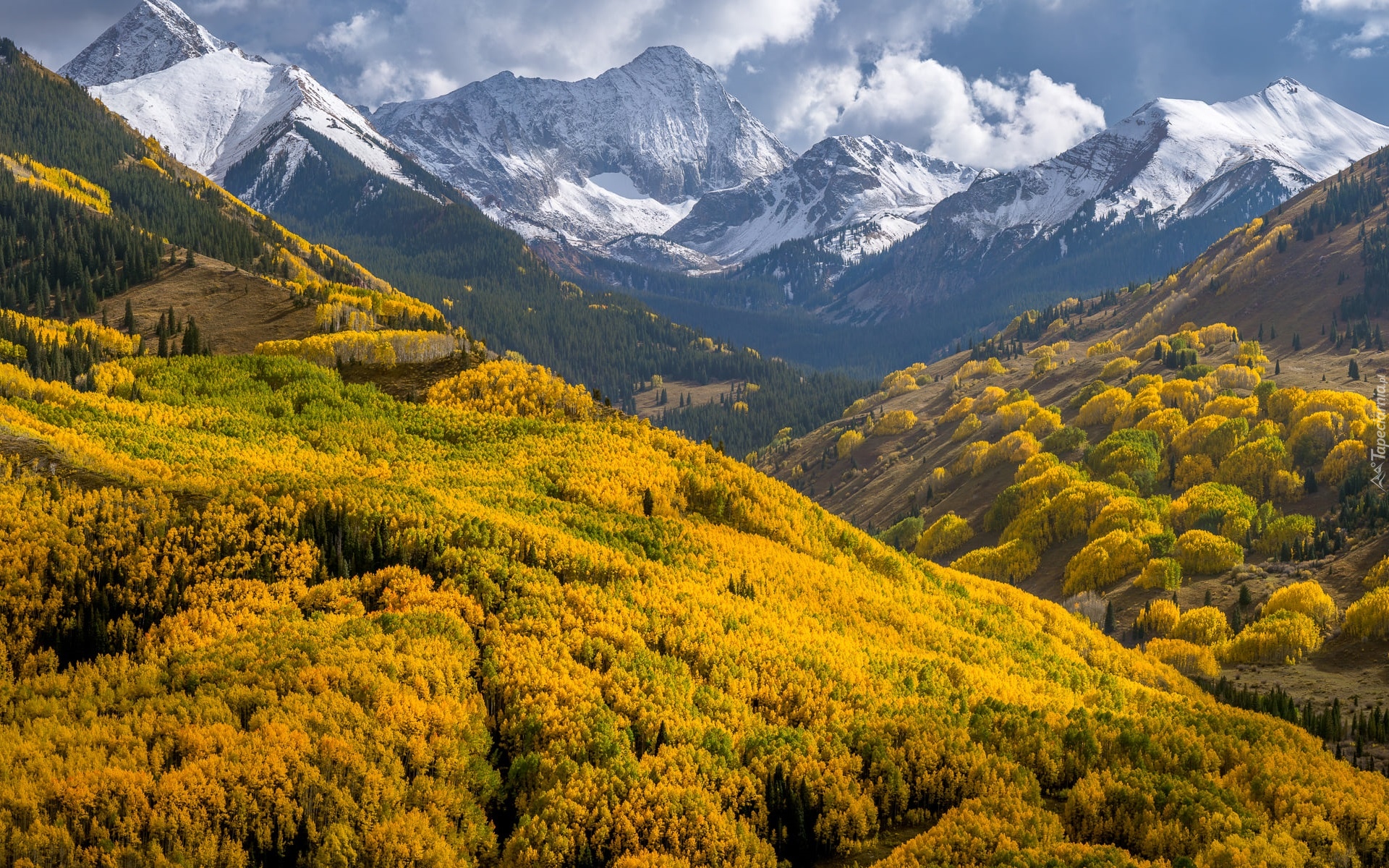 Stany Zjednoczone, Kolorado, Góry Elk, Góra, Capitol Peak, Las, Drzewa, Jesień, Chmury