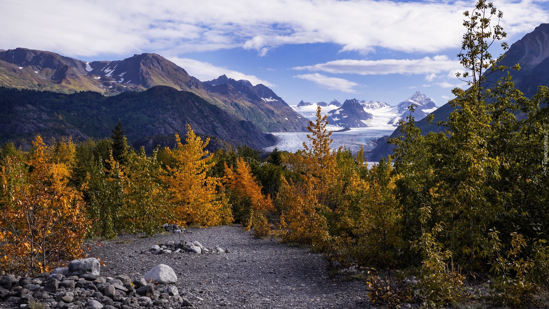 Jesień, Góry, Żółte, Drzewa, Kamienie, Droga, Alaska, Stany Zjednoczone