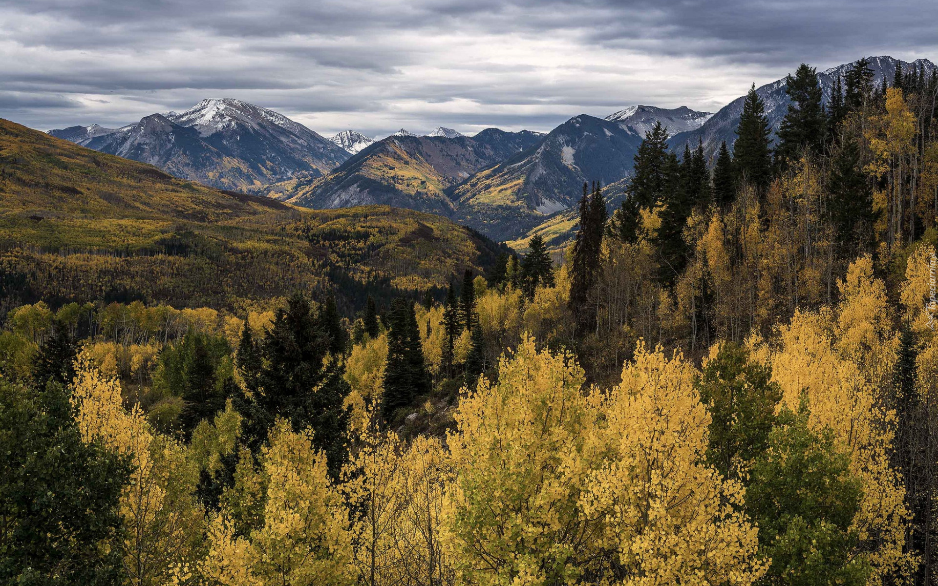 Jesień, Góry Skaliste, Przełęcz, McClure Pass, Las, Pożółkłe, Drzewa, Chmury, Kolorado, Stany Zjednoczone