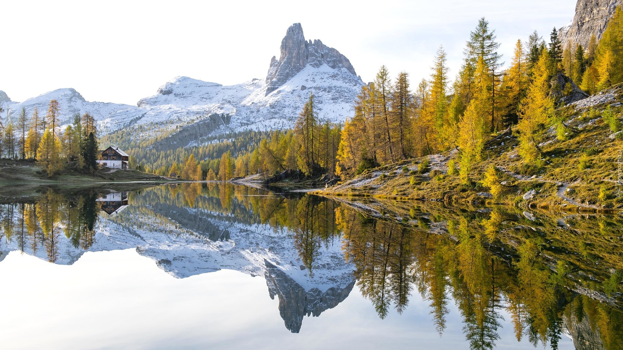 Jesień, Góry, Dolomity, Jezioro, Lago Federa, Las, Drzewa, Cortina dAmpezzo, Włochy