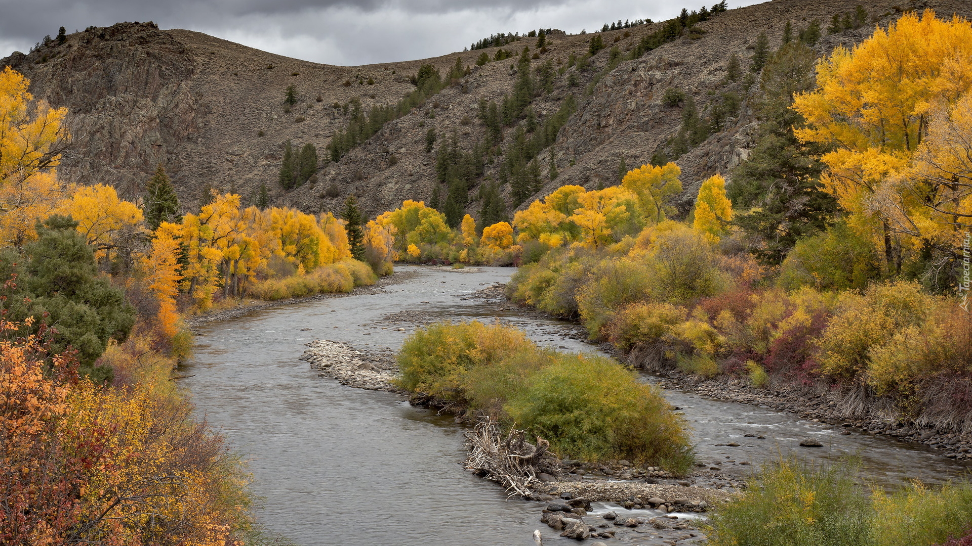 Jesień, Rzeka, Gunnison River, Pożółkłe, Drzewa, Góry, Kolorado, Stany Zjednoczone