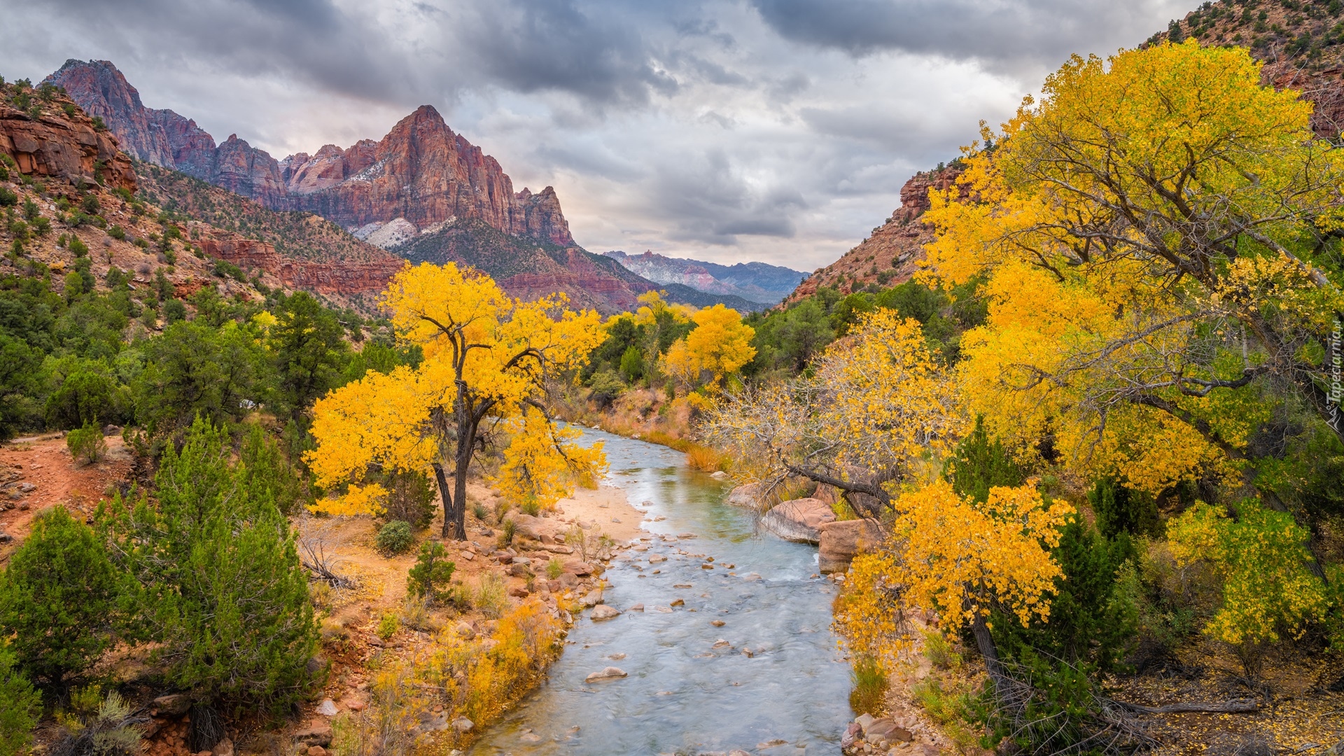 Jesień, Góry, Góra Watchman, Rzeka, Virgin River, Drzewa, Park Narodowy Zion, Utah, Stany Zjednoczone