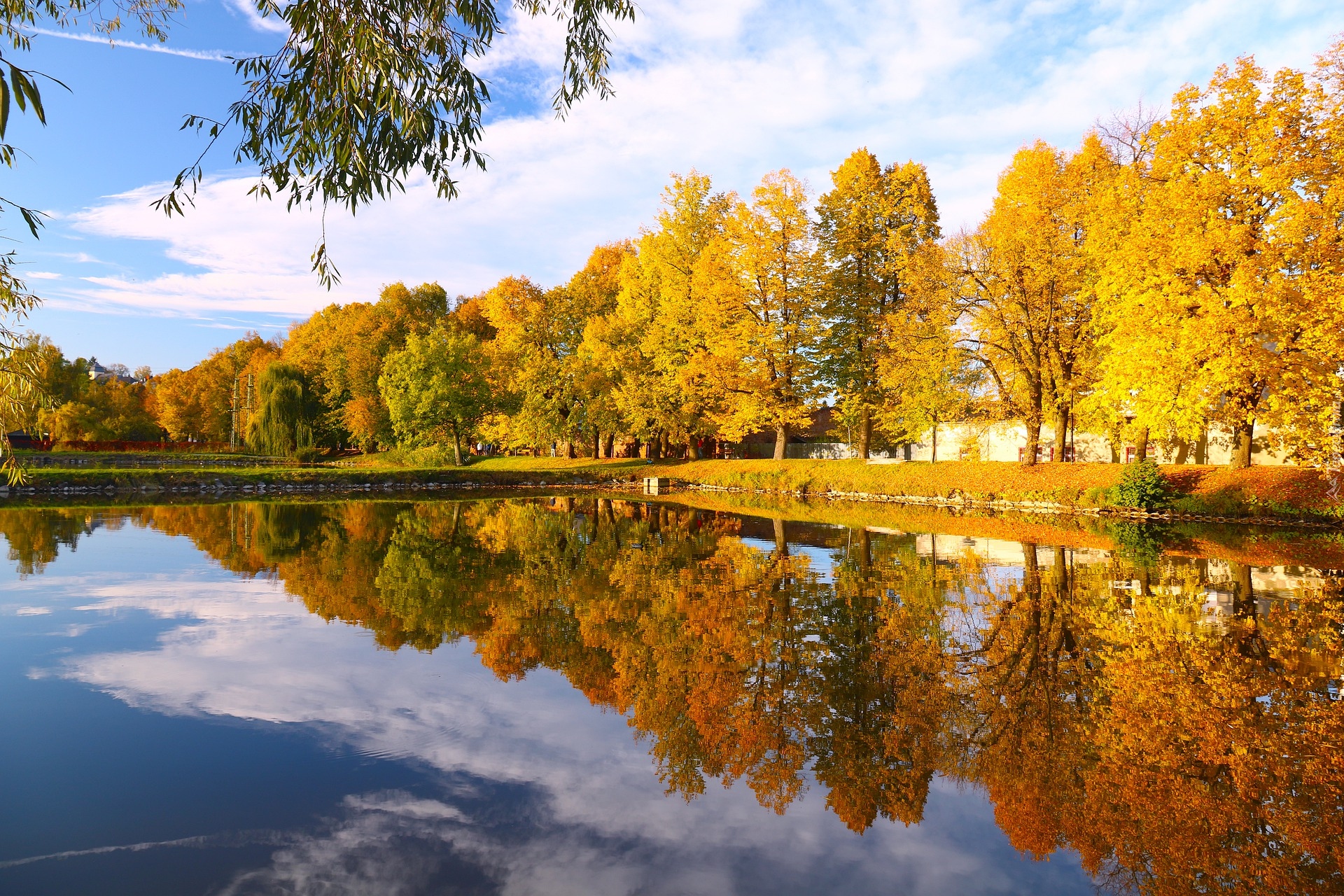 Park, Jesień, Staw, Odbicie, Drzewa