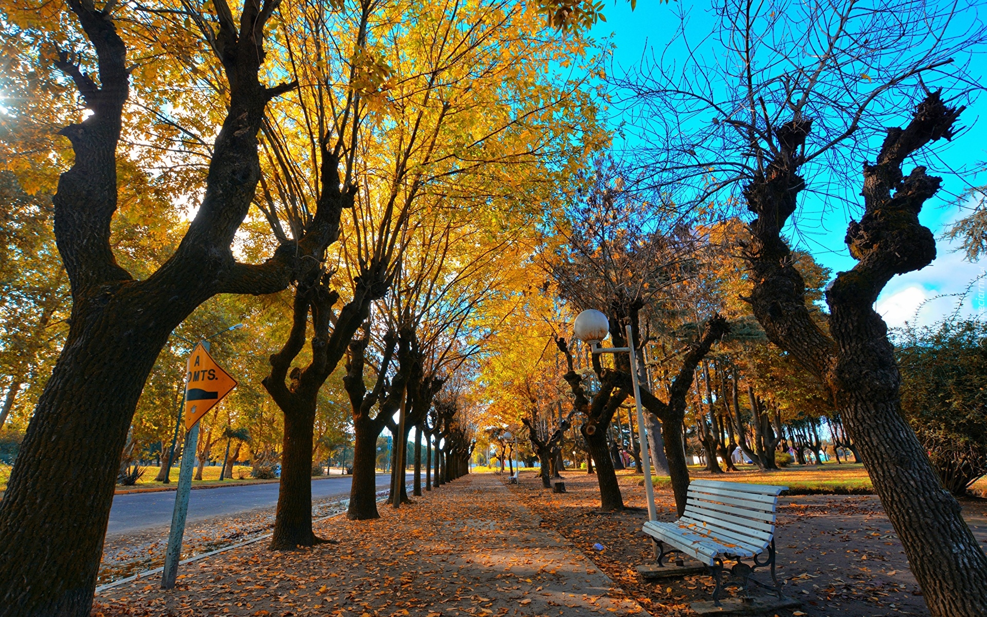 Jesień, Chodnik, Drzewa, Pożółkłe, Liście, Ławka, Latarnie
