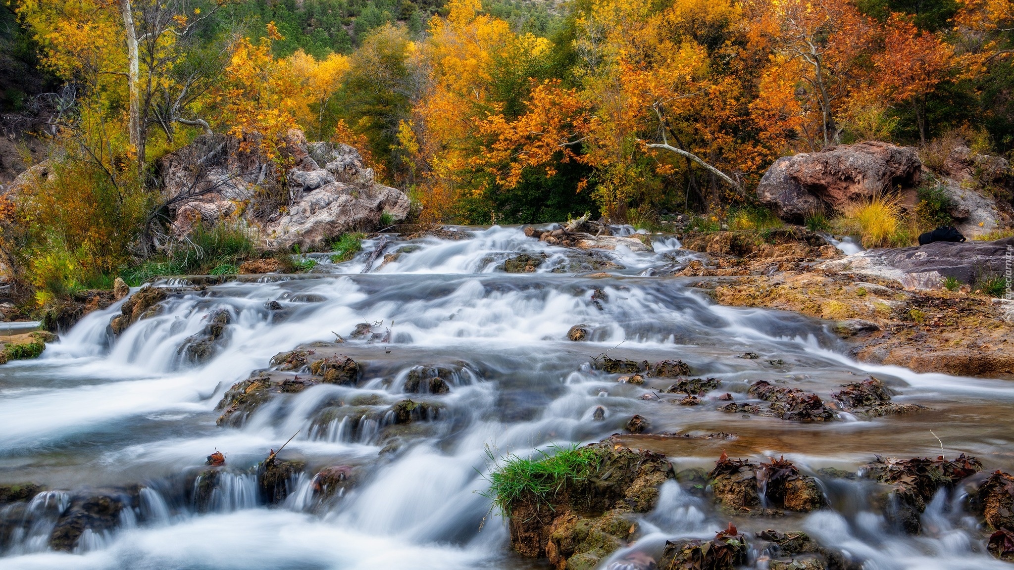 Stany Zjednoczone, Arizona, Strawberry, Fossil Creek, Rzeka, Jesień, Drzewa, Skały