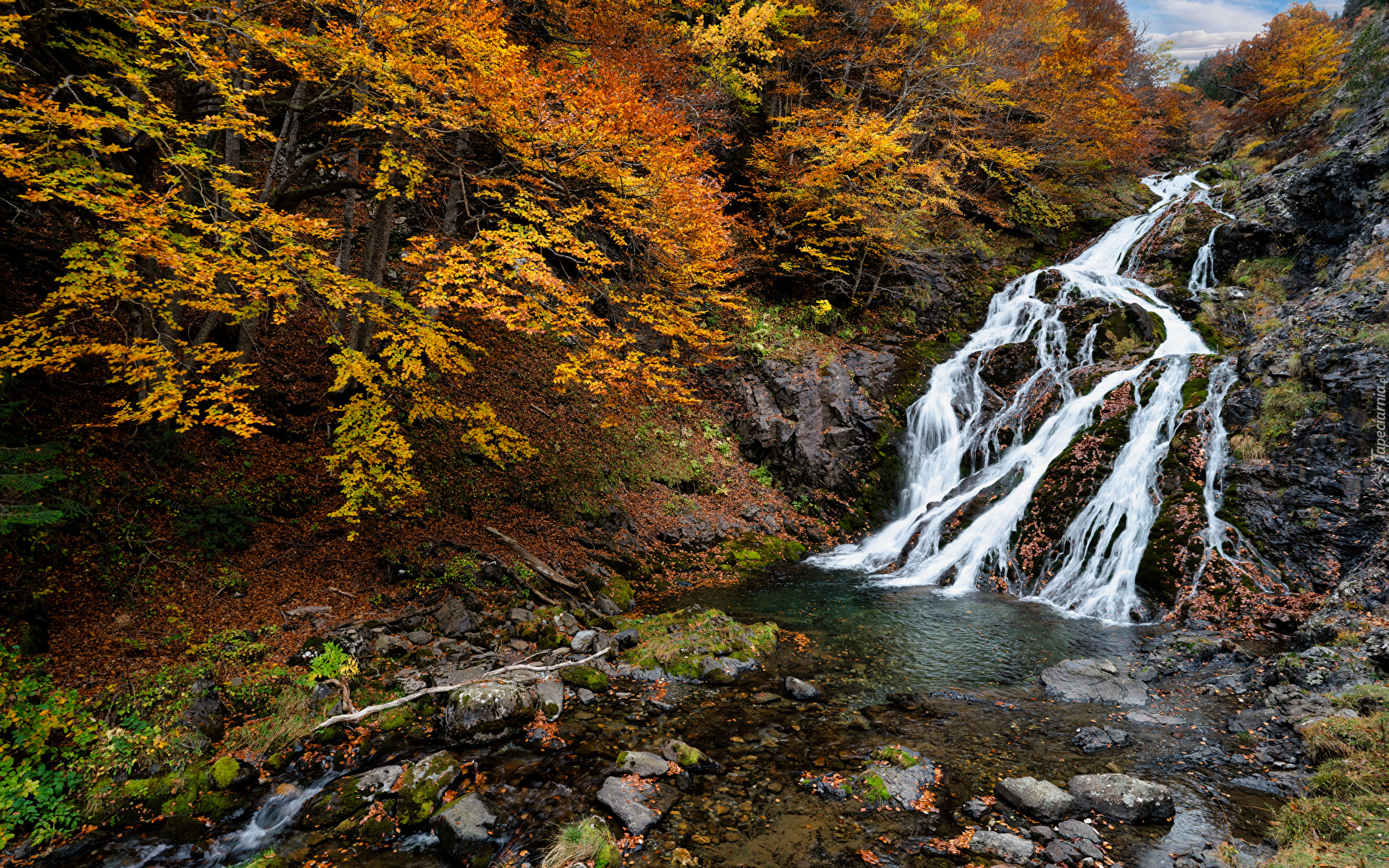 Jesień, Rzeka, Wodospad, Kamienie, Pożółkłe, Drzewa, Rośliny