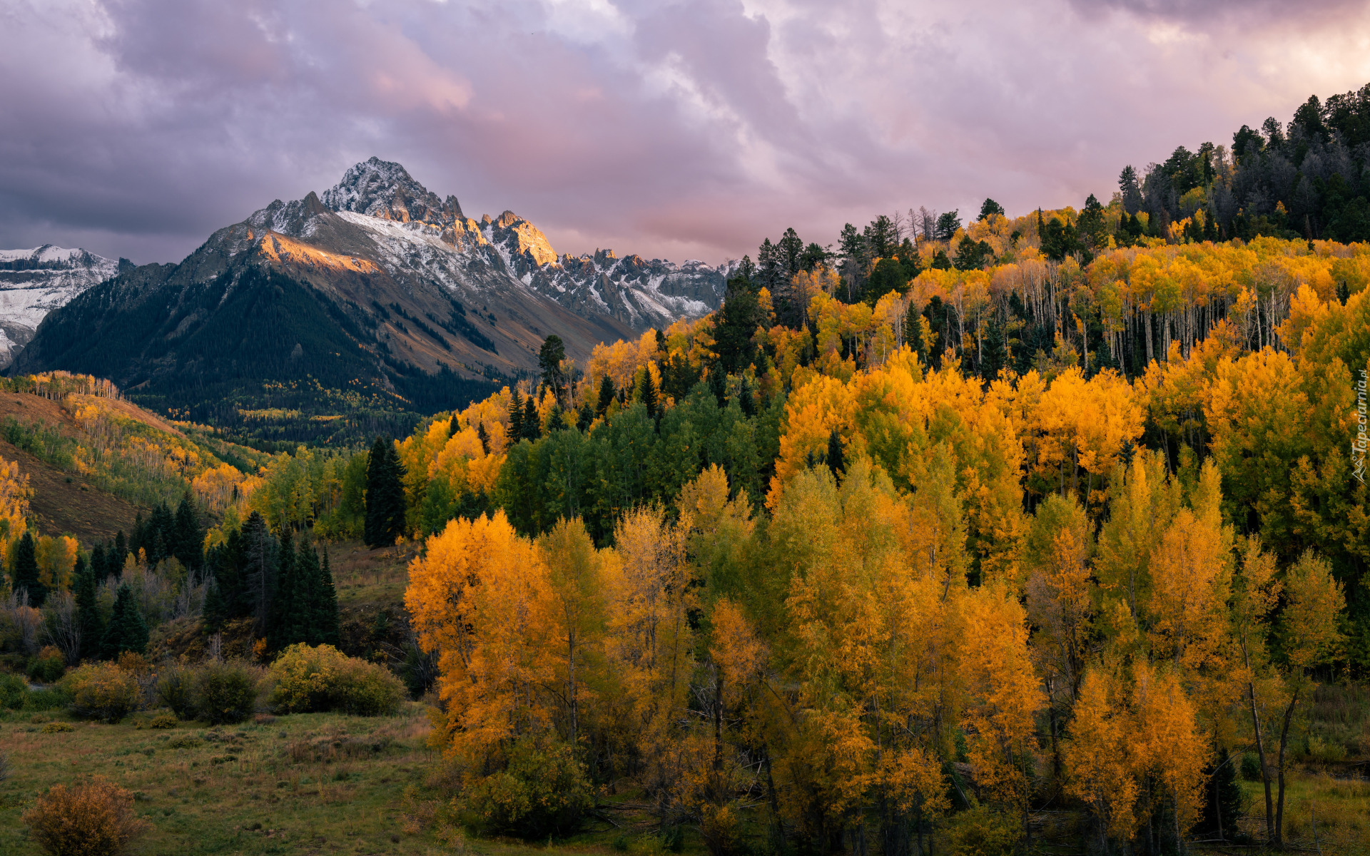 Stany Zjednoczone, Kolorado, Mount Sneffels, Jesień, Góry, Las, Drzewa, Chmury, Niebo