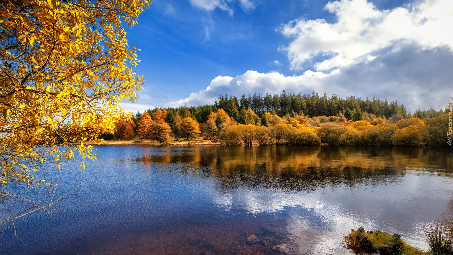 Jezioro, Pożółkłe, Drzewa, Jesień, Chmury