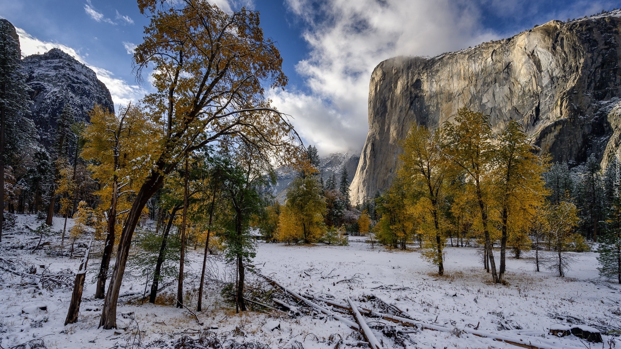 Jesień, Góry, Szczyt, El Capitan, Żółte, Drzewa, Śnieg, Park Narodowy Yosemite, Stan Kalifornia, Stany Zjednoczone