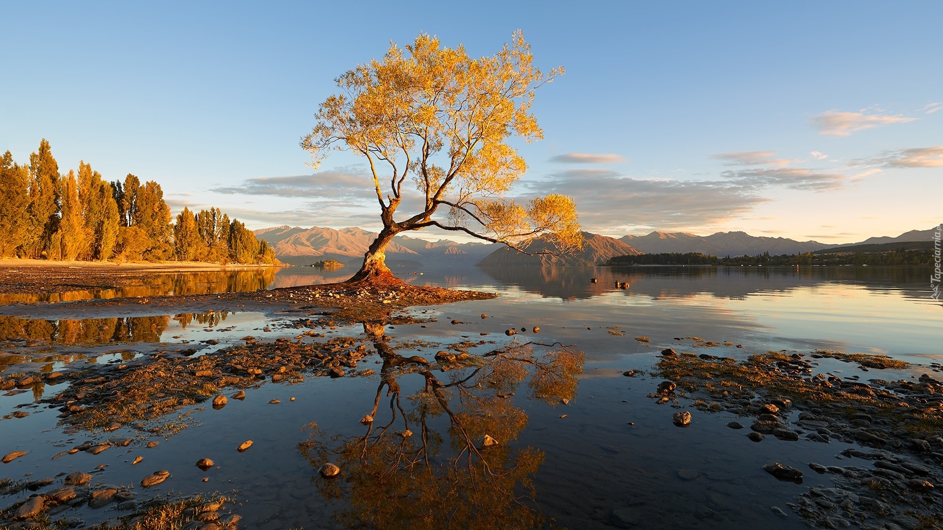 Jezioro Wanaka, Drzewa, Góry, Jesień, Nowa Zelandia