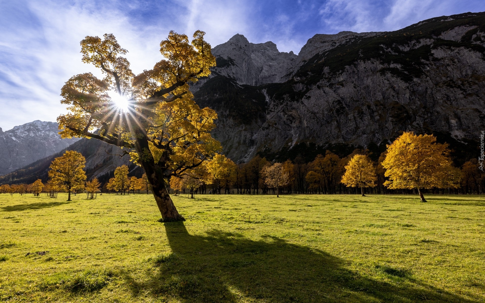 Góry, Dolomity, Las, Drzewa, Jesień, Promienie słońca