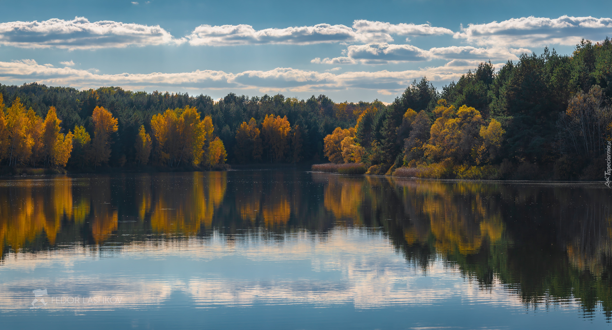 Jezioro, Drzewa, Las, Jesień, Chmury