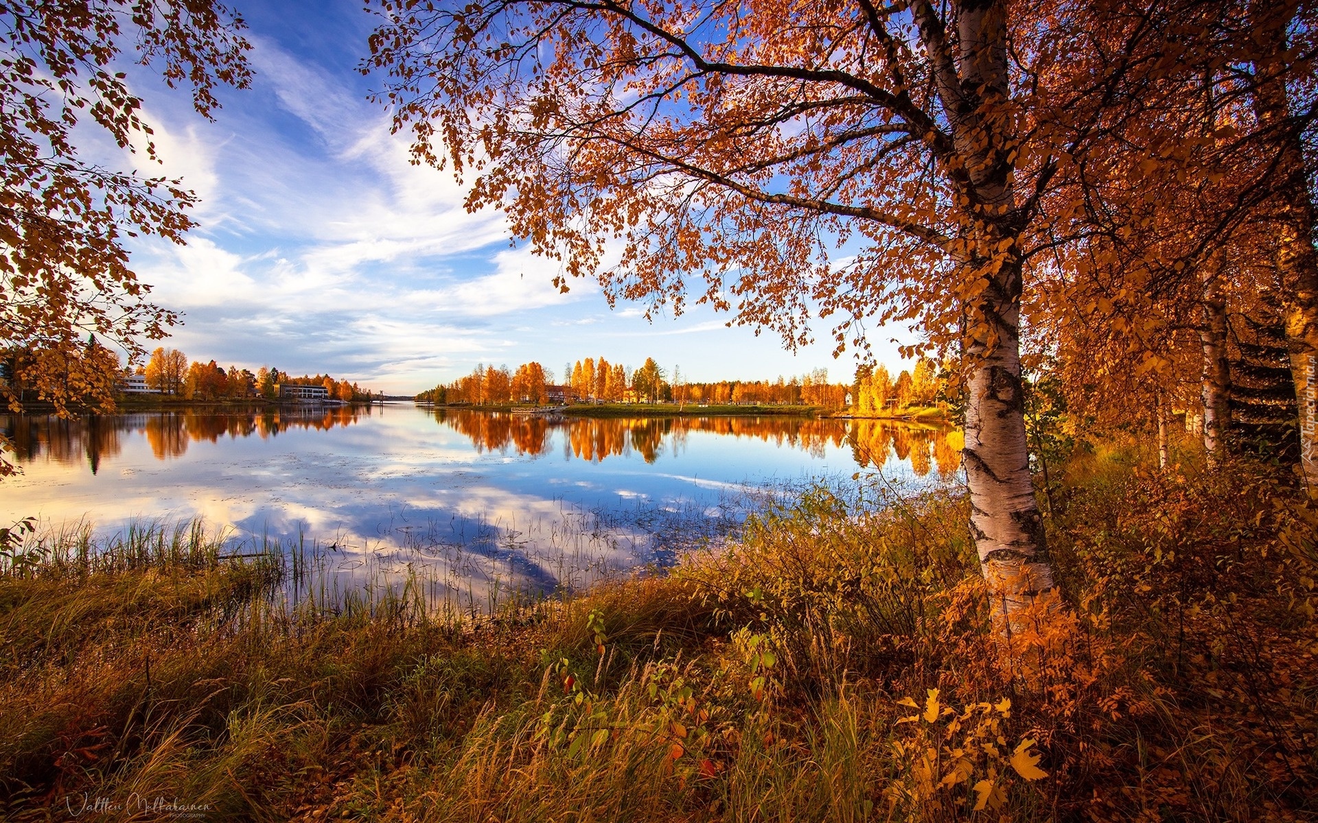 Jezioro, Jesień, Drzewa, Brzoza, Trawa