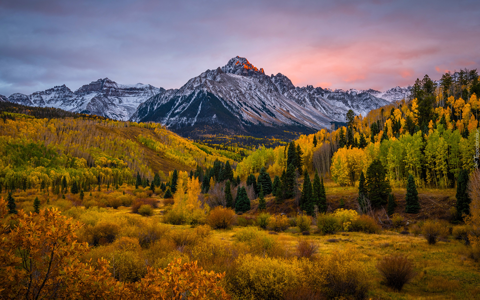 Stany Zjednoczone, Kolorado, Góra, Mount Sneffels, Jesień, Drzewa, Roślinność