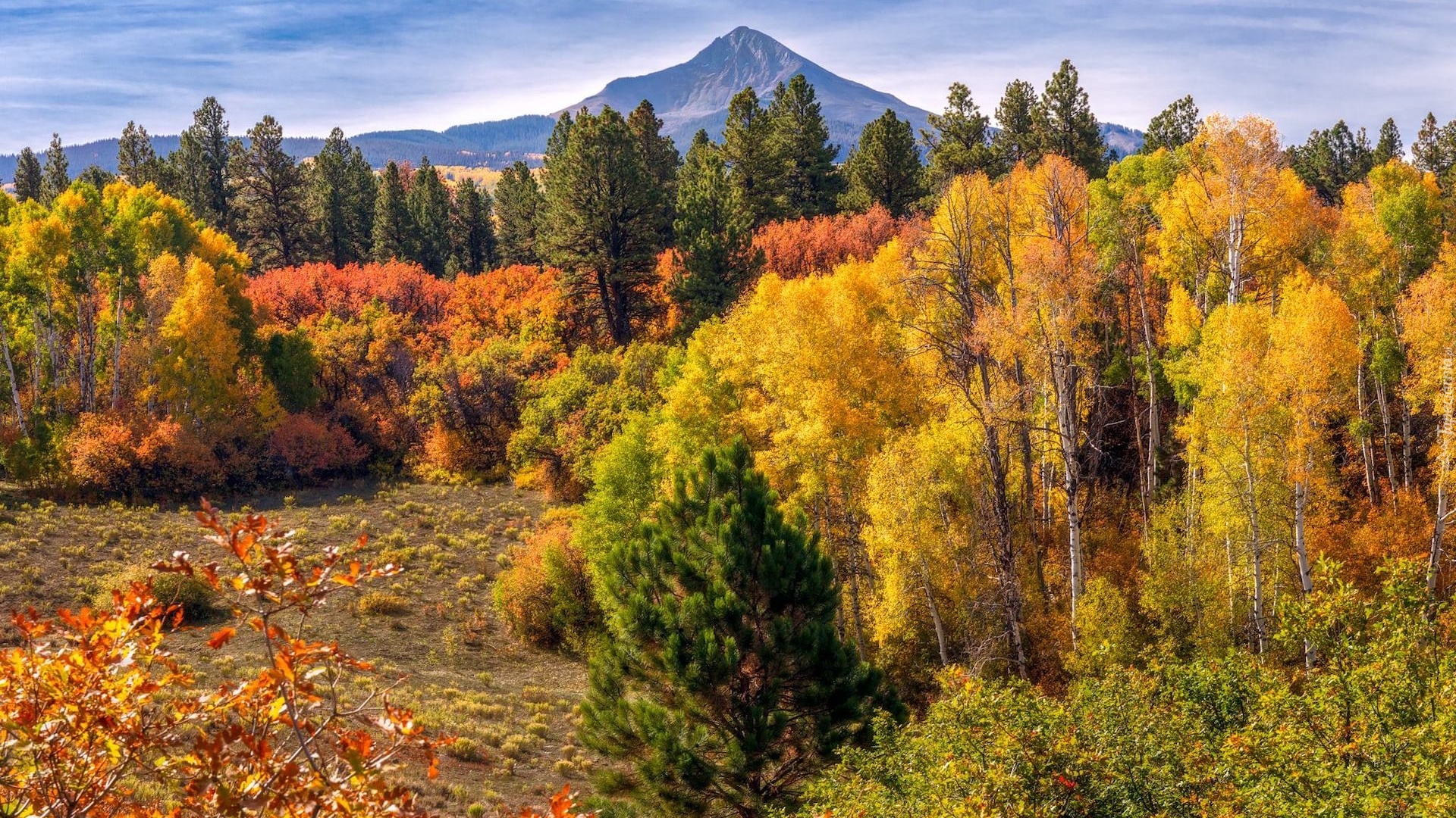 Góry, Drzewa, Jesień, Liście