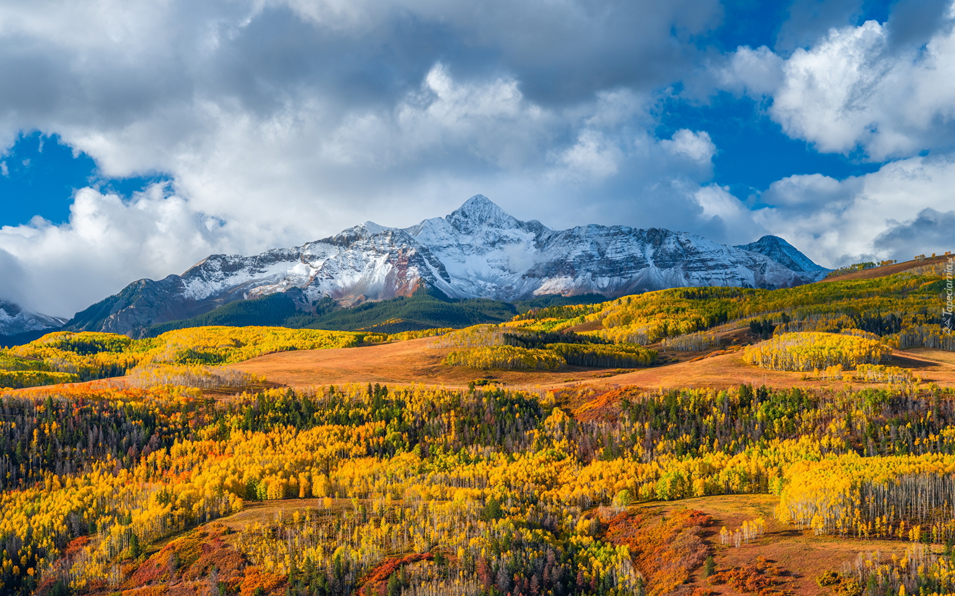 Jesień, Góry, Góra, Wilson Peak, Wzgórze, Lasy, Pożółkłe, Drzewa, Chmury, Kolorado, Stany Zjednoczone
