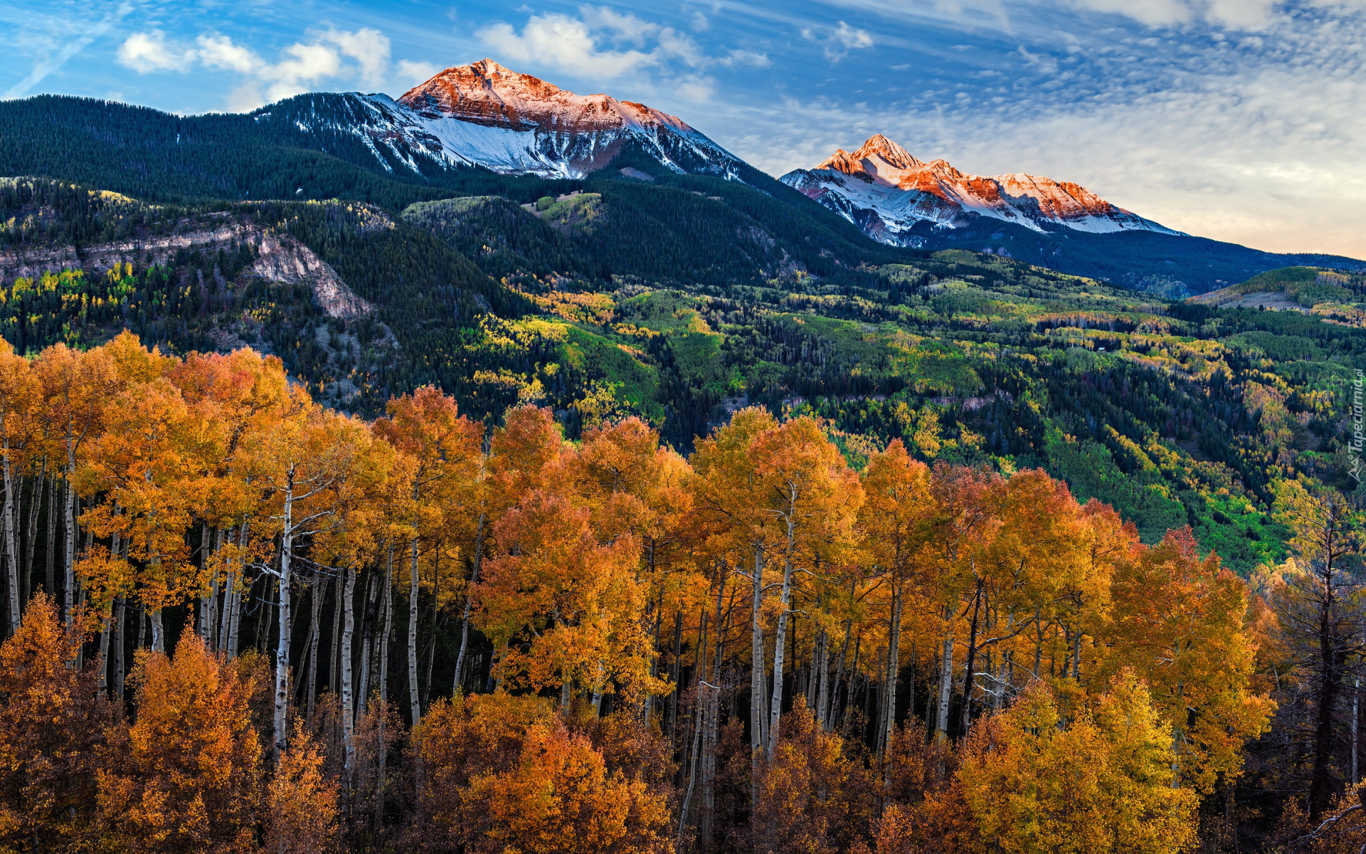 Stany Zjednoczone, Kolorado, San Juan Mountains, San Miguel Range,  Jesień, Las, Góry, Pożółkłe, Drzewa, Topole osikowe, Niebo, Chmury