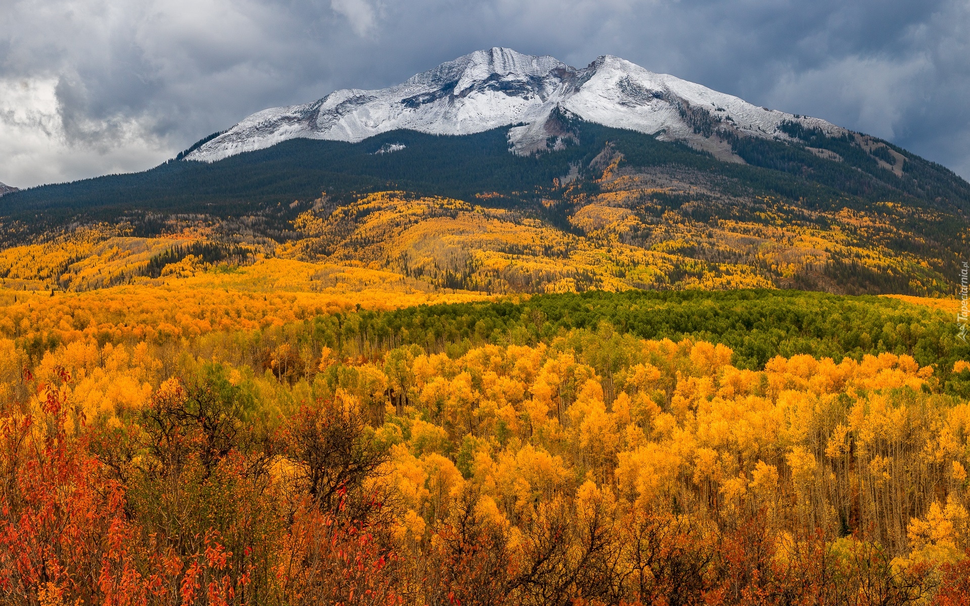 Stany Zjednoczone, Kolorado, Przełęcz, Kebler Pass, Góry, Lasy, Drzewa, Jesień