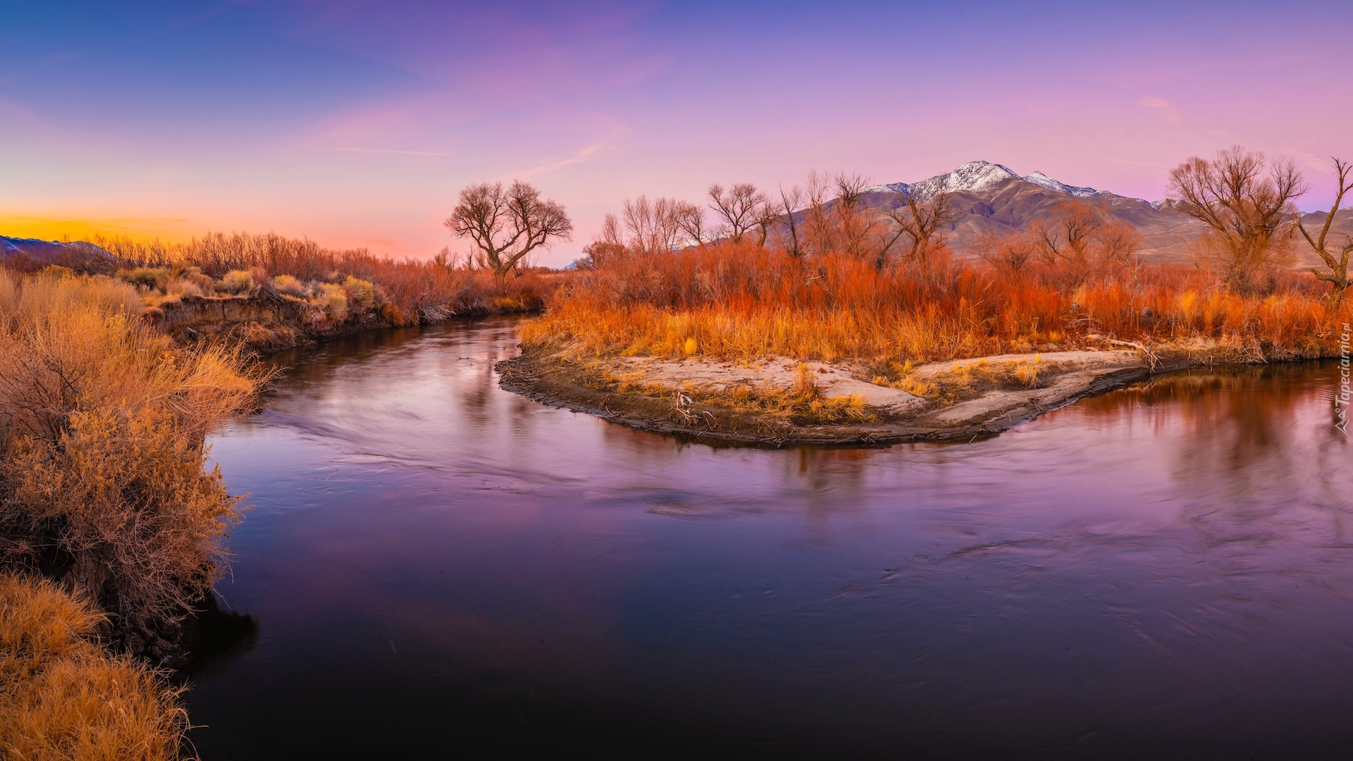 Stany Zjednoczone, Góry, Jesień, Drzewa, Rośliny, Dolina Owens Valley, Rzeka, Owens River, Eastern Sierra, Kalifornia