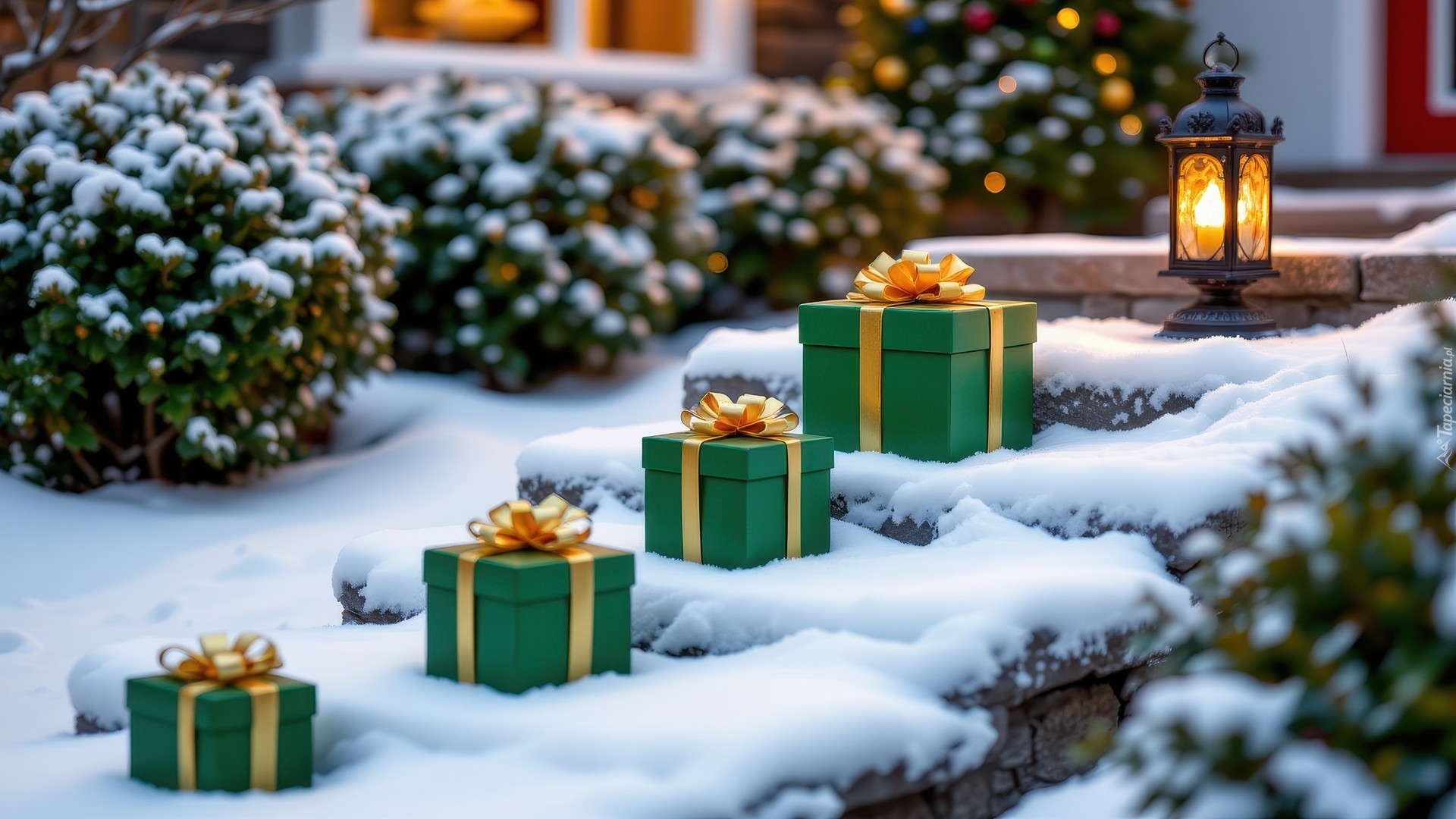 Zima, Ośnieżone, Schody, Krzewy, Prezenty, Lampion