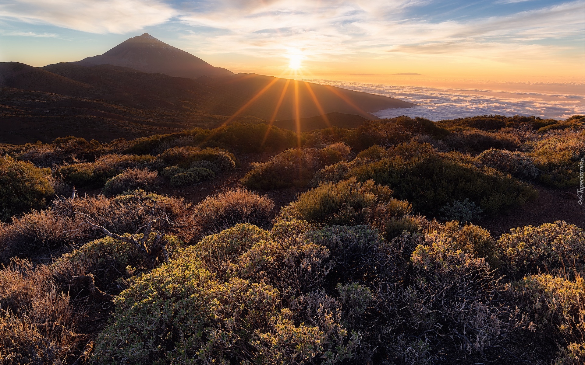 Hiszpania, Teneryfa, Wschód słońca, Góry, Góra Teide, Roślinność