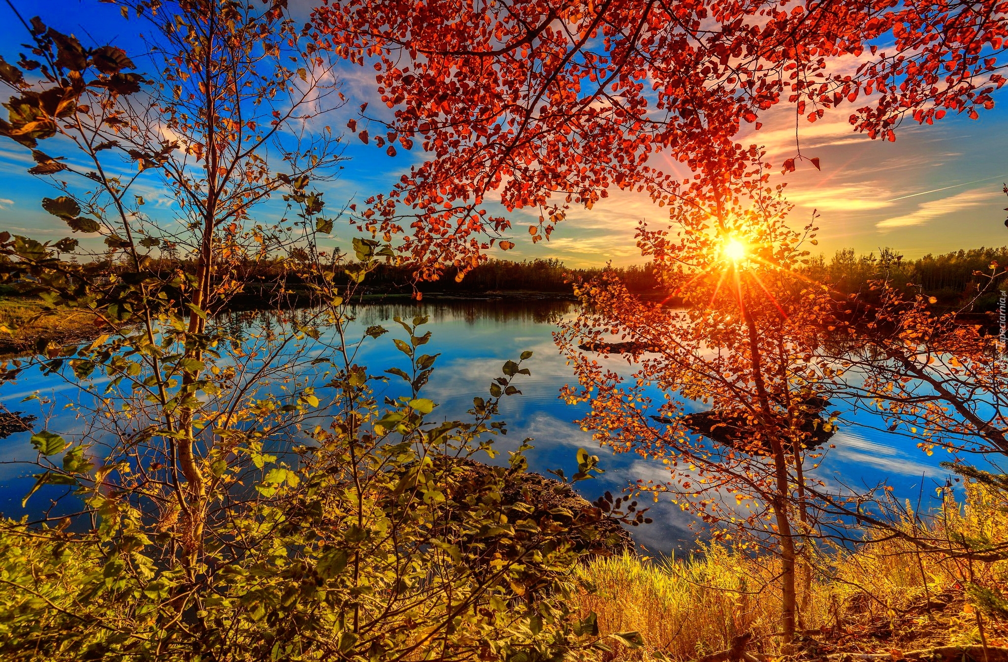 Kanada, Nowy Brunszwik, Jezioro, Promienie słońca, Drzewa
