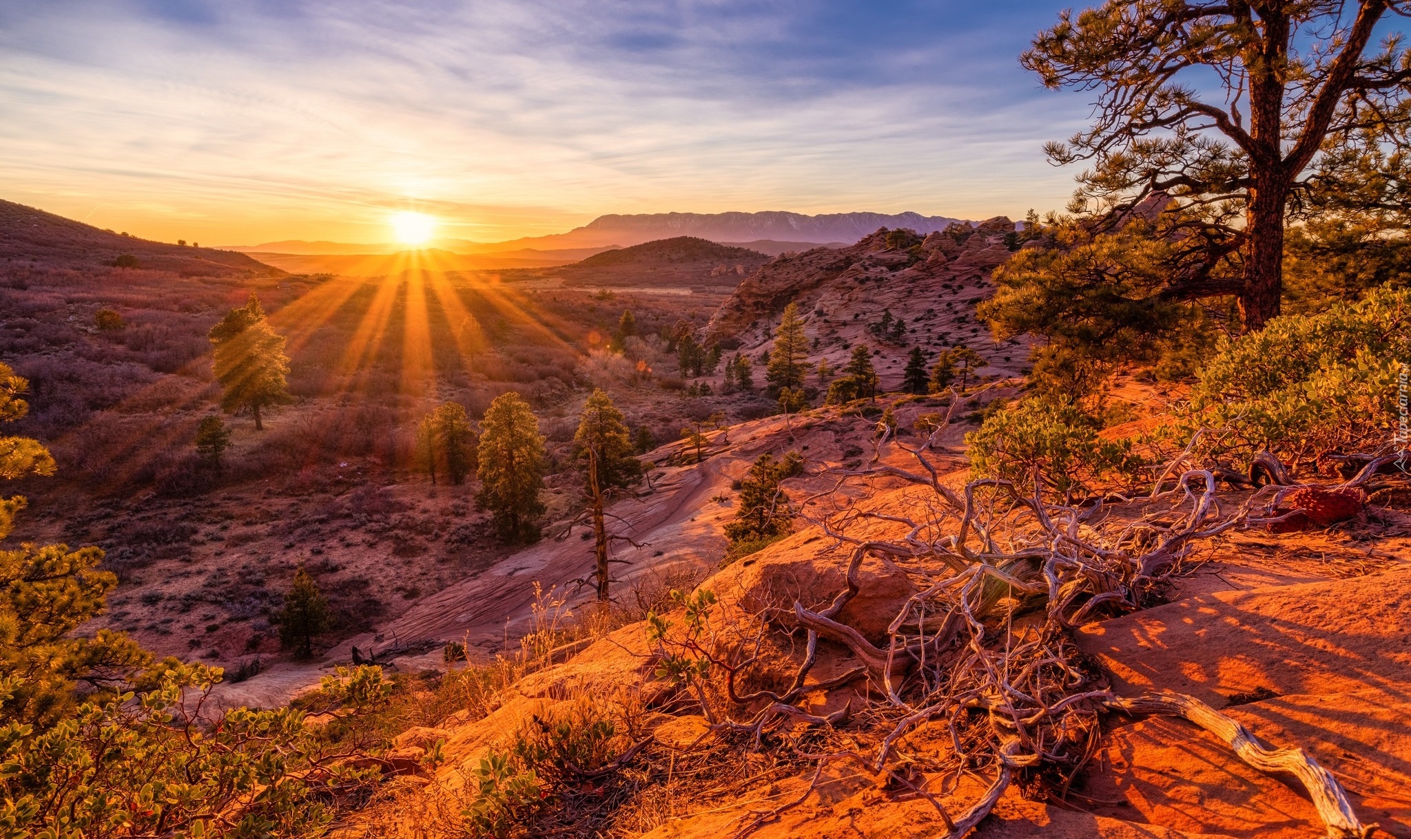 Promienie słońca, Góry, Drzewa, Park Narodowy Zion, Stan Utah, Stany Zjednoczone
