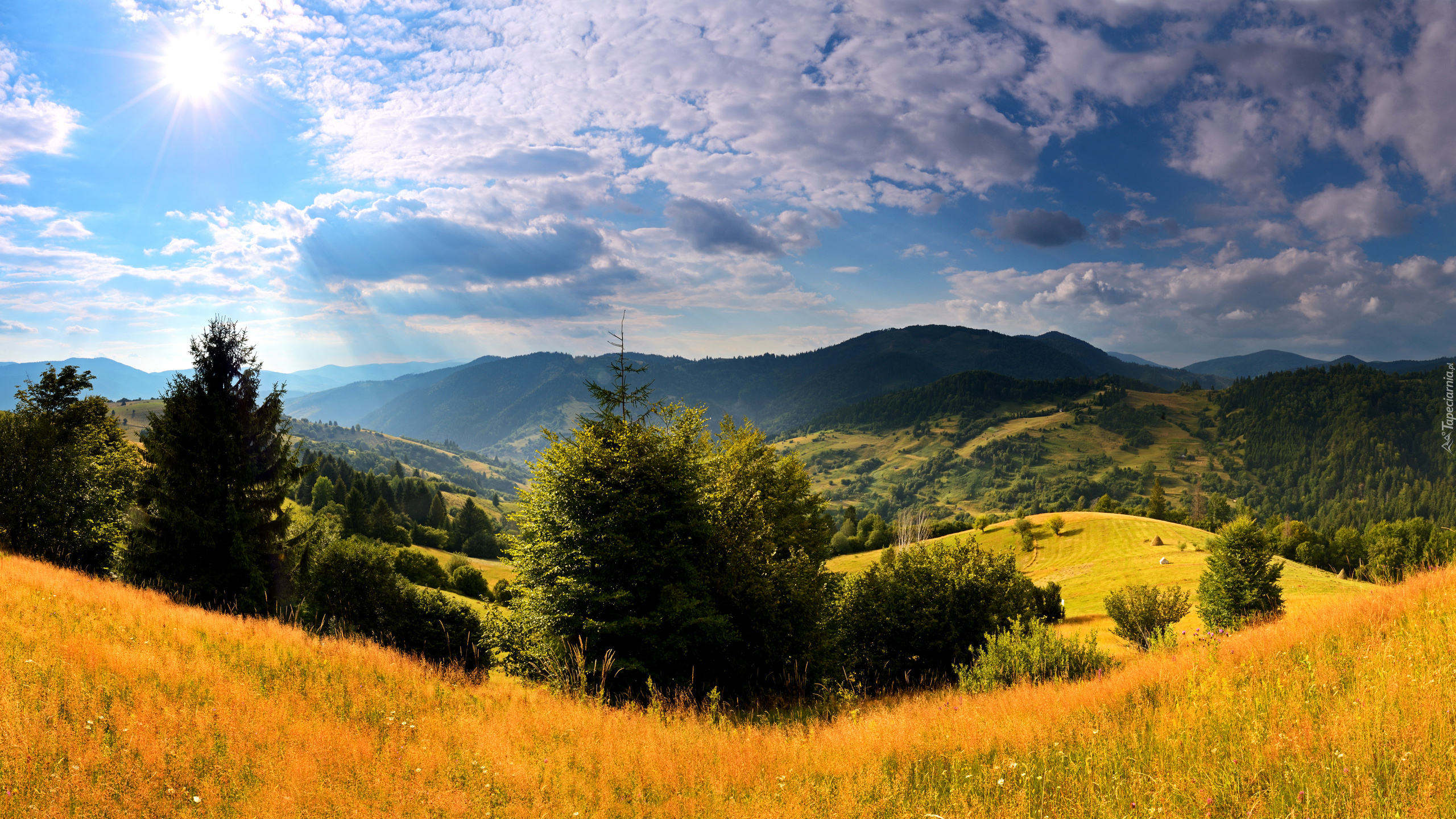 Ukraina, Jesień, Góry, Karpaty, Promienie Słońca