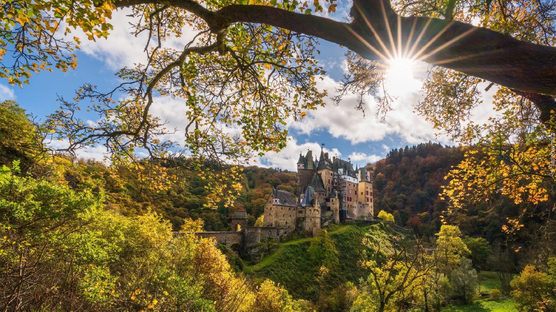 Niemcy, Nadrenia-Palatynat, Gmina Wierschem, Góry Eifel, Zamek Eltz Kotlina, Jesień, Las, Drzewa, Promienie słońca