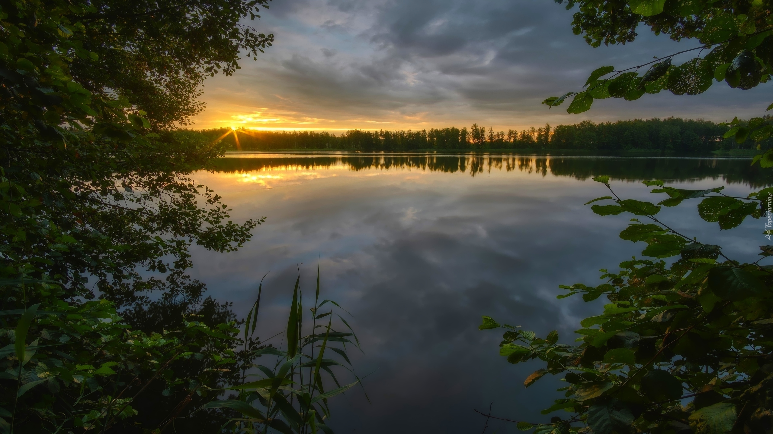 Jezioro, Drzewa, Promienie słońca, Chmury