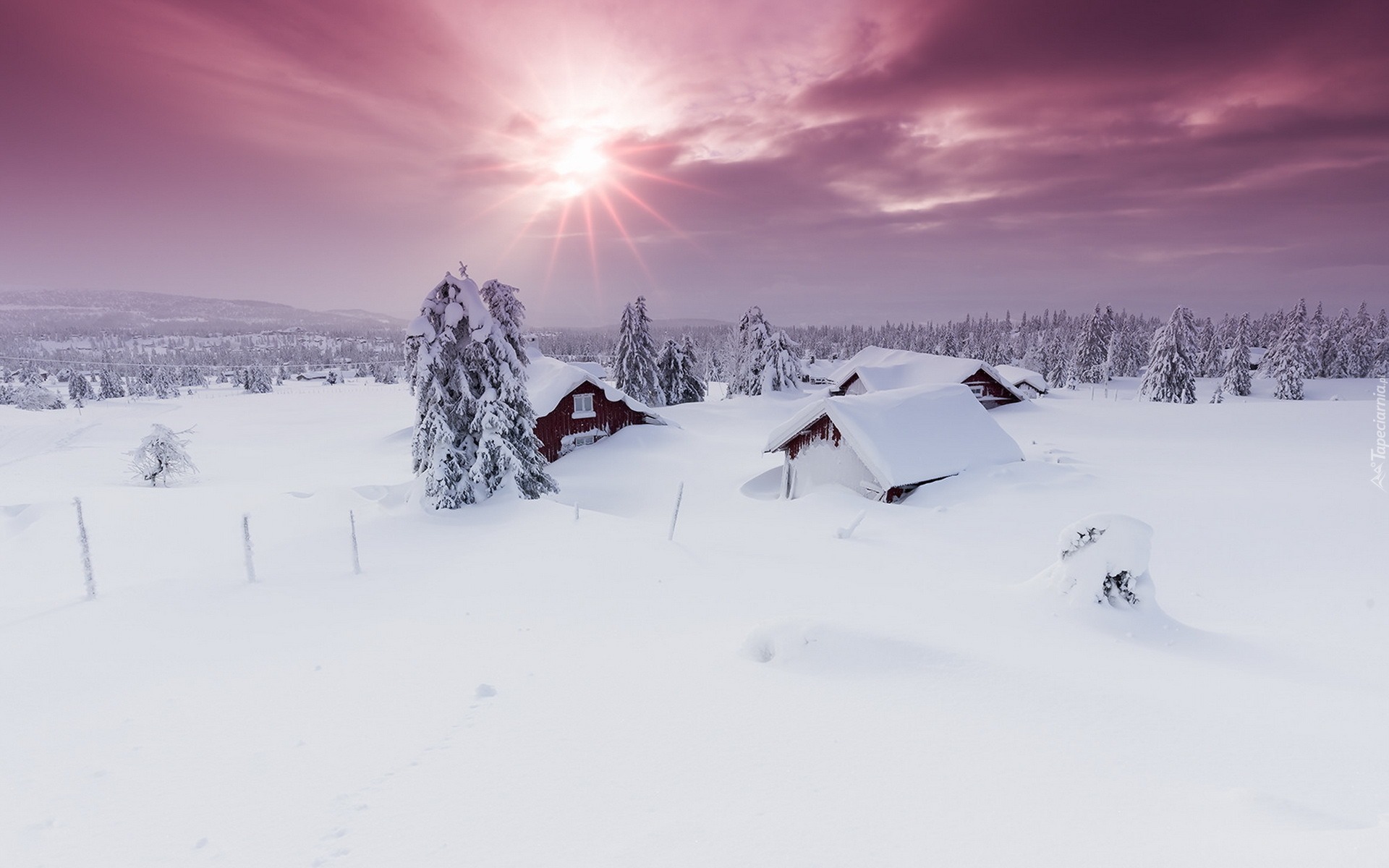 Norwegia, Okręg Oppland, Gmina Lillehammer, Zima, Drzewa, Promienie słońca, Zasypane, Domy