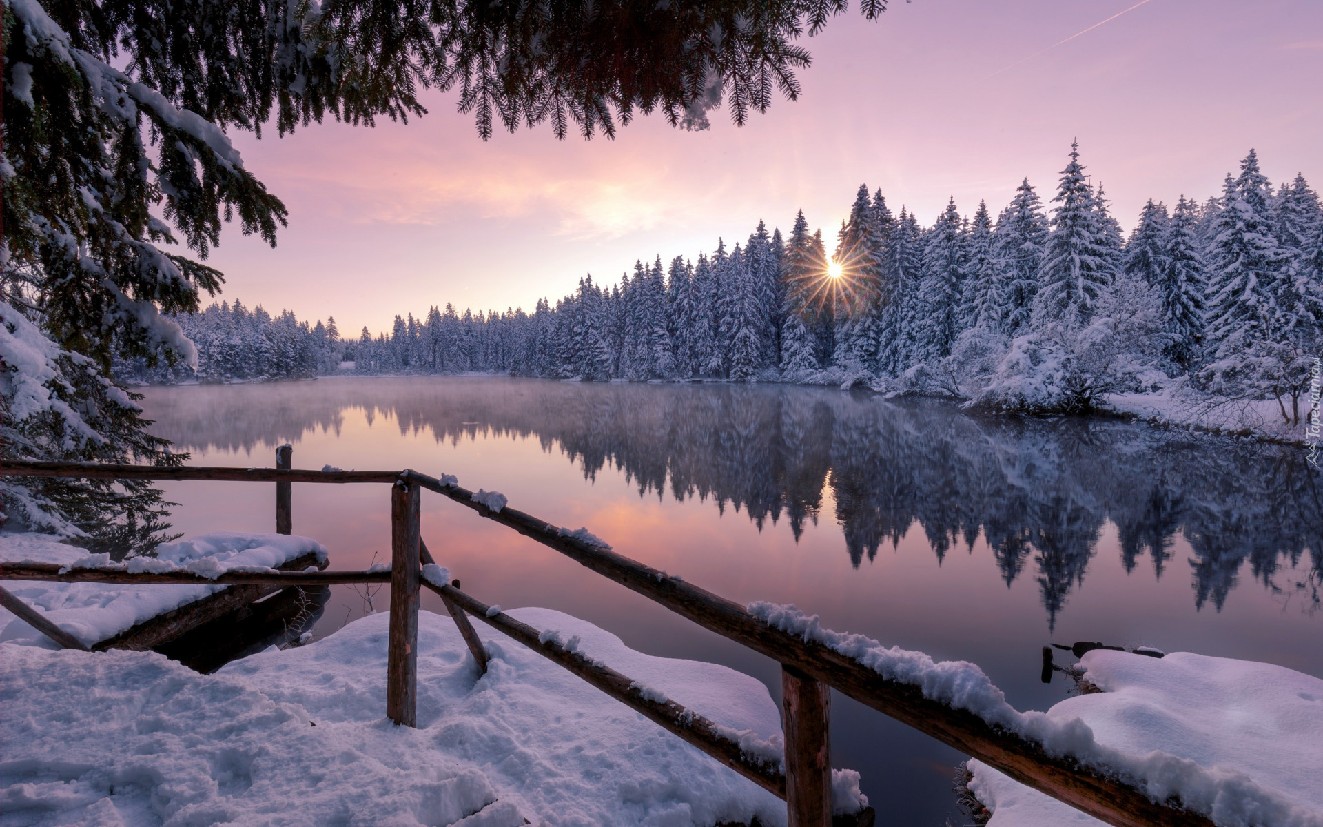 Zima, Śnieg, Jezioro, Etang de la Gruere, Las, Ośnieżone, Drzewa, Kanton Jura, Szwajcaria