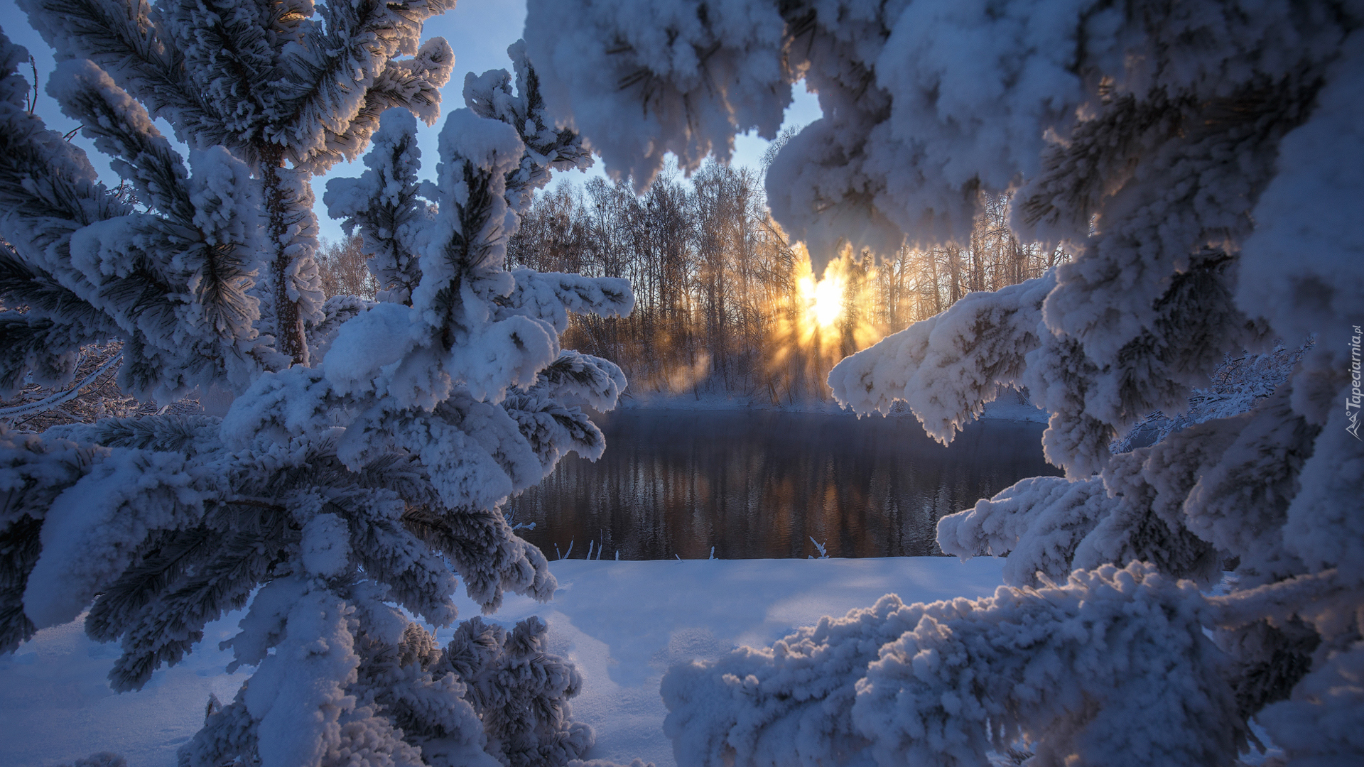 Zima, Drzewa, Ośnieżone, Gałęzie, Promienie słońca, Jezioro