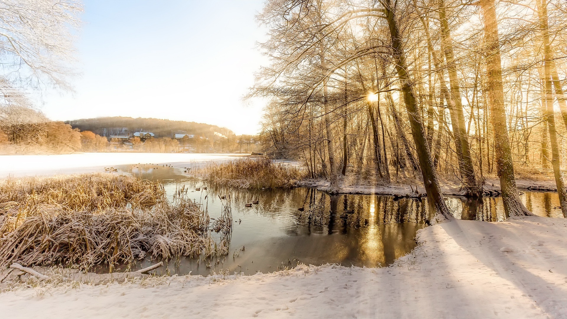 Zima, Śnieg, Jezioro, Drzewa, Trawa, Domy, Przebijające światło